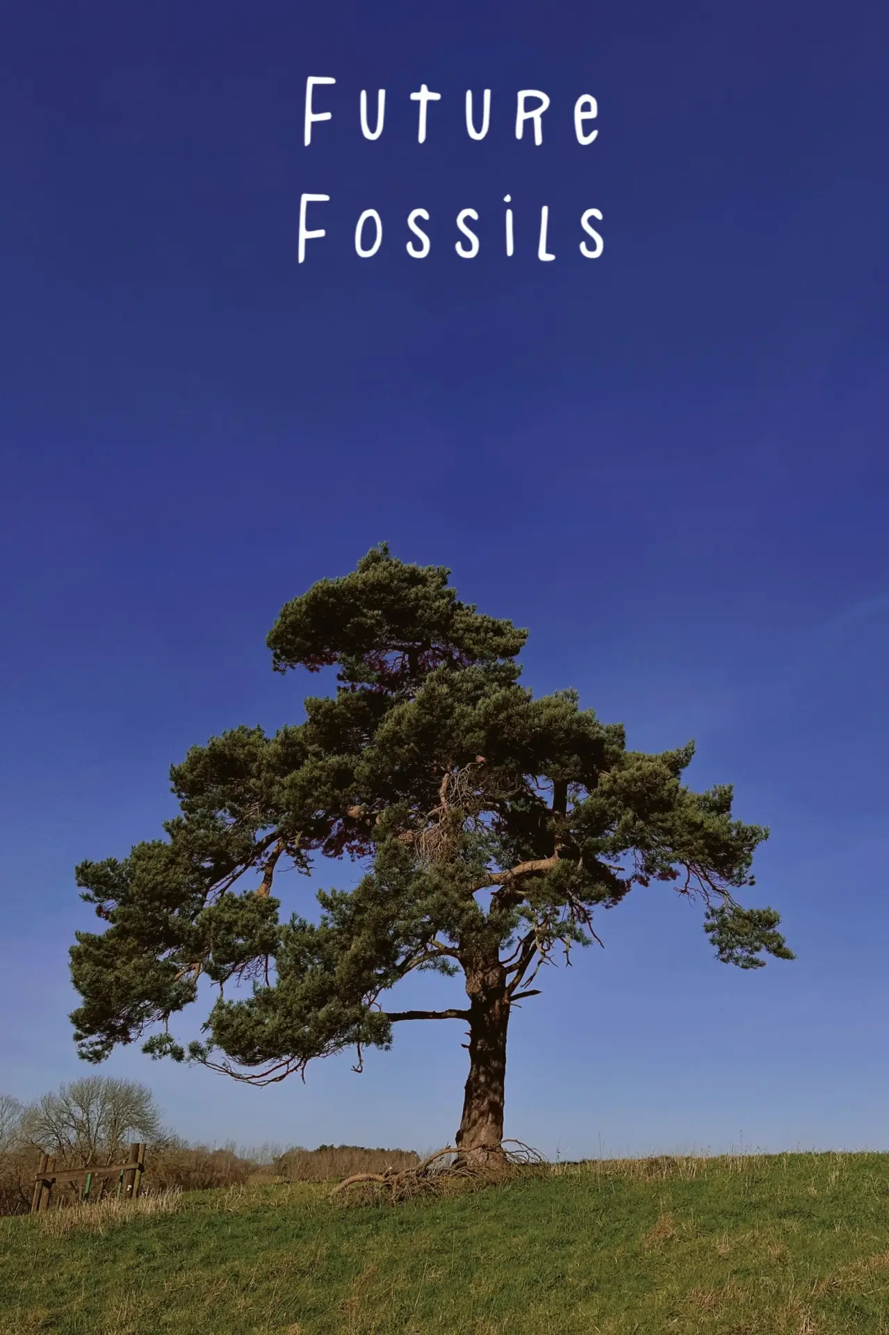 Постер к фильму "Future Fossils"