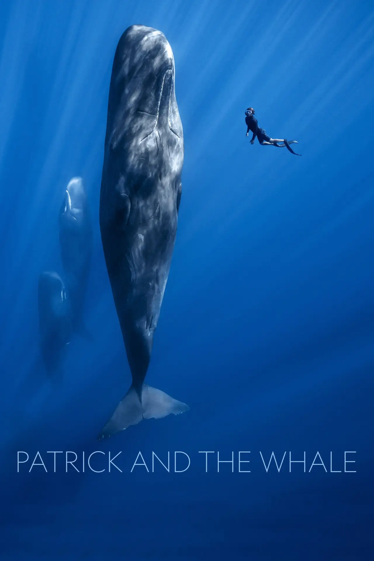 Постер к фильму "Patrick and the Whale"