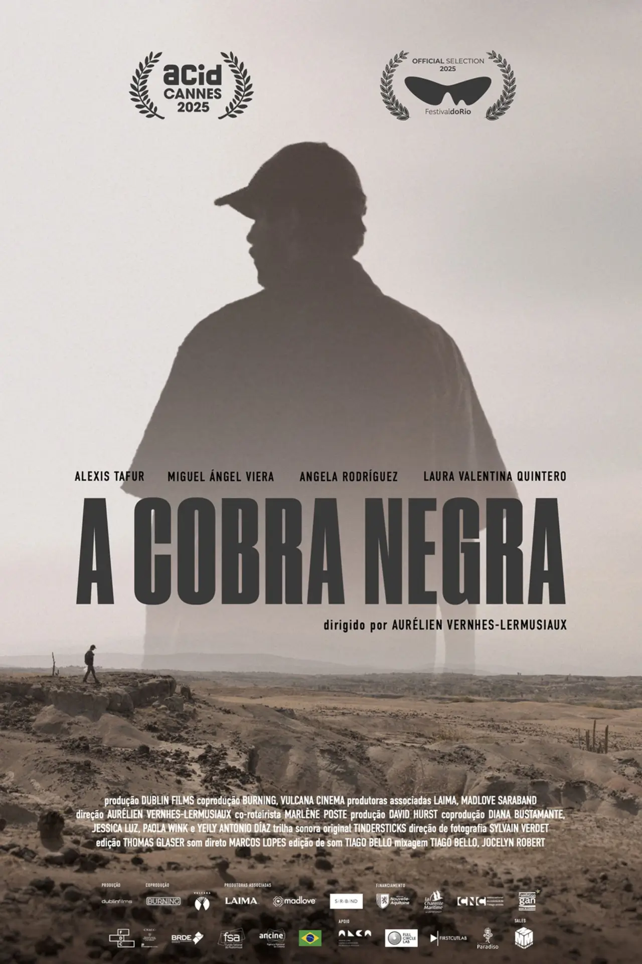 Постер к фильму "La Couleuvre noire"