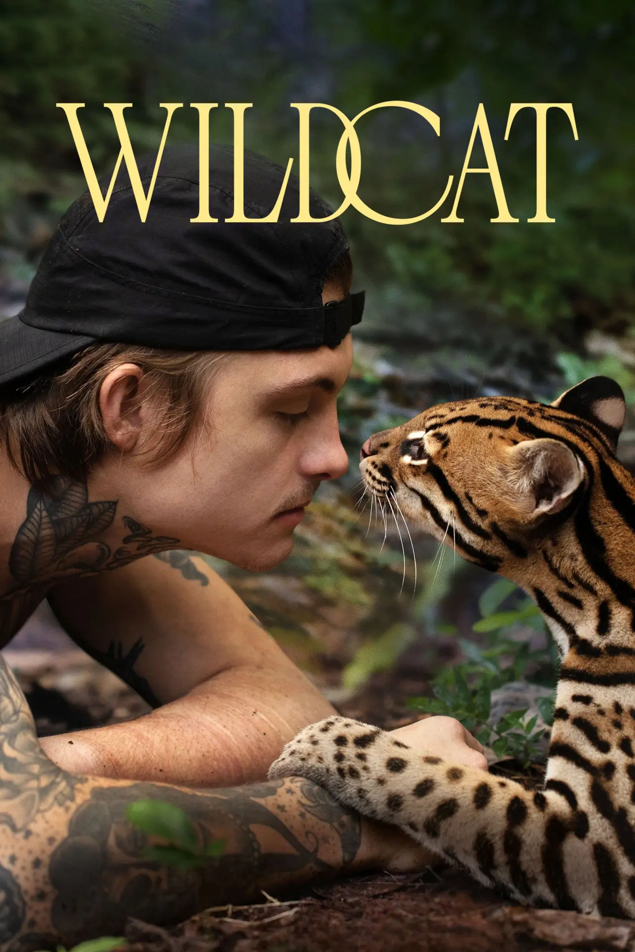 Постер к фильму "Wildcat"