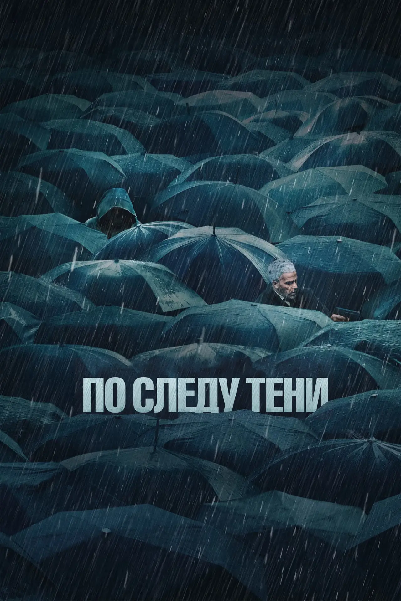 Постер к фильму "По следу тени"