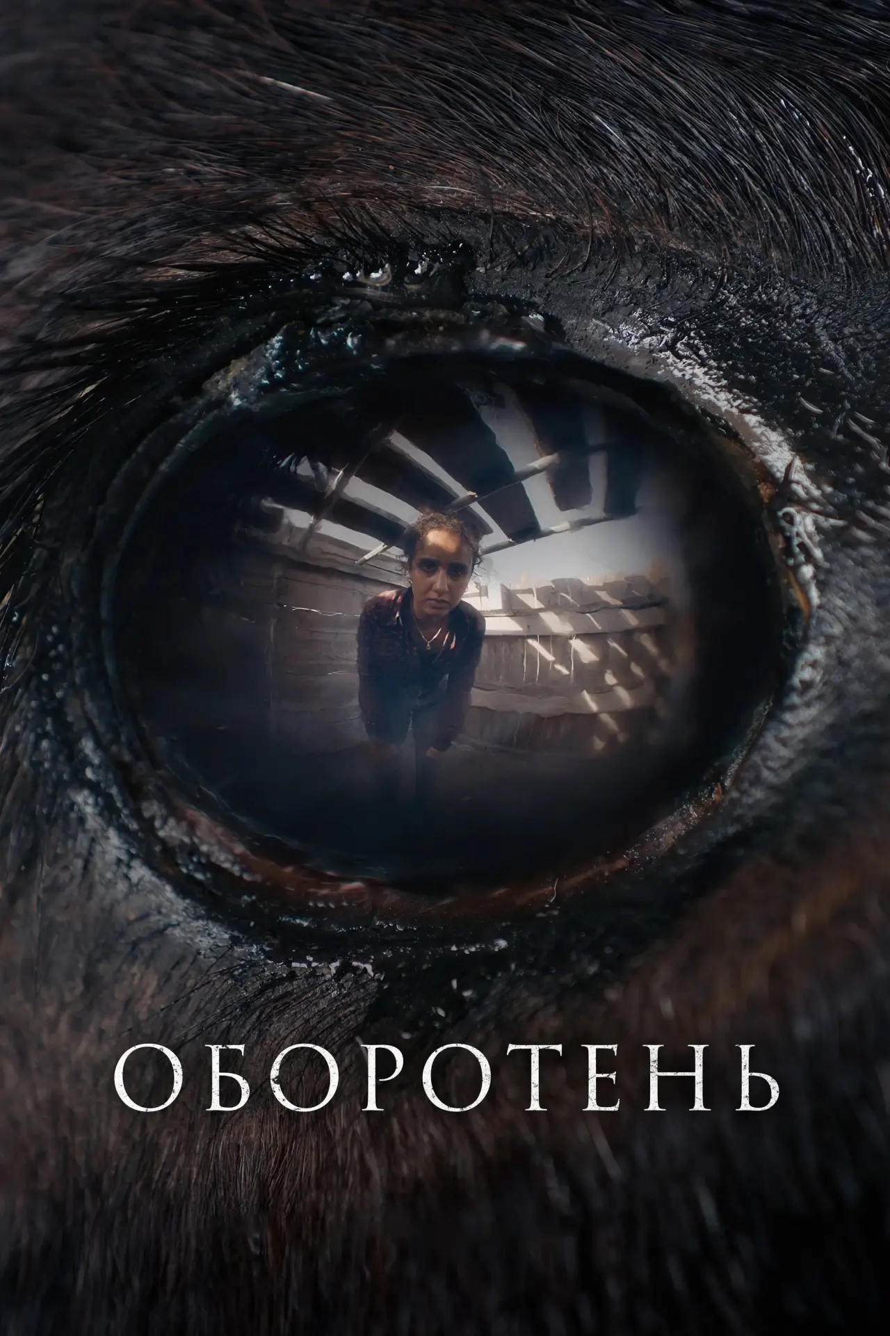 Постер к фильму "Оборотень"
