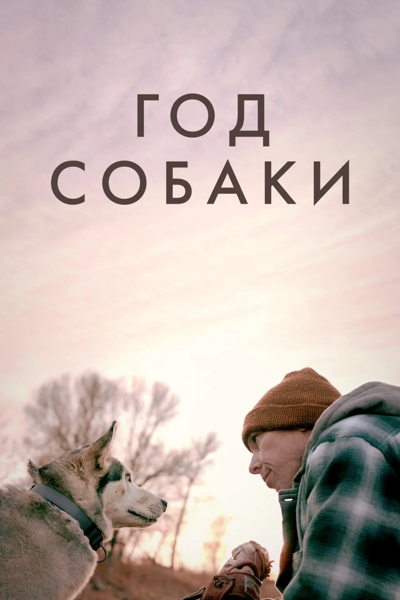 Постер к фильму "Год собаки"