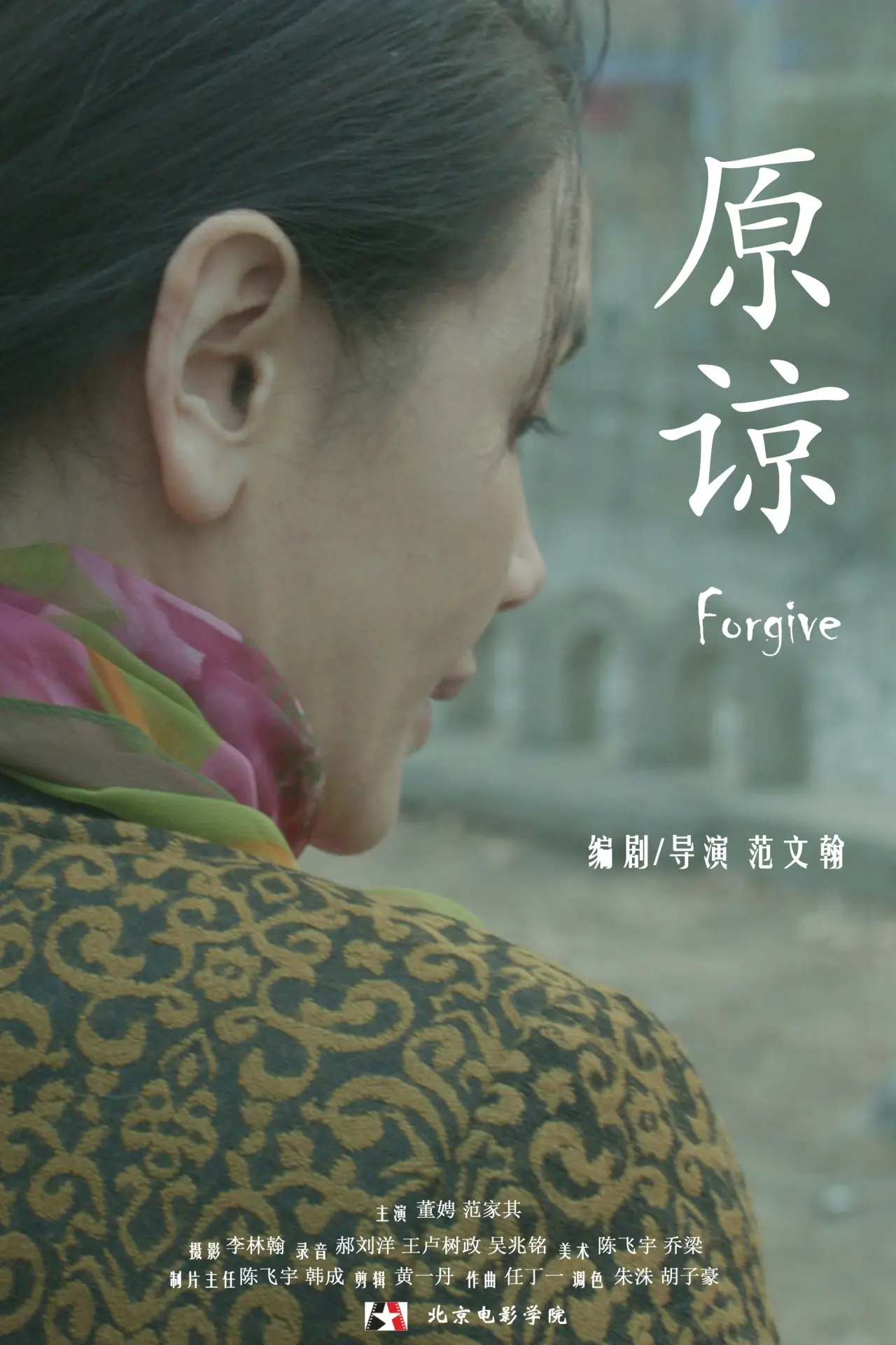 Постер к фильму "原谅"