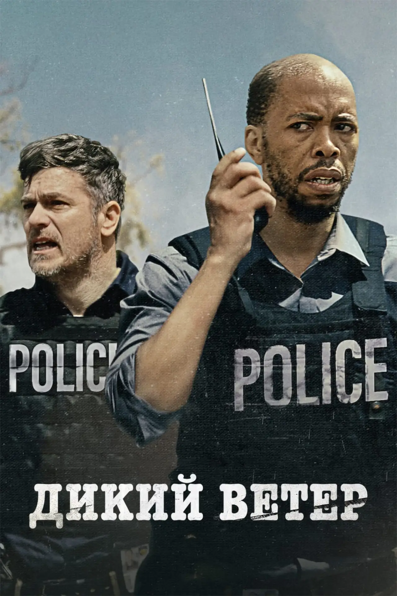 Постер к фильму "Дикий ветер"