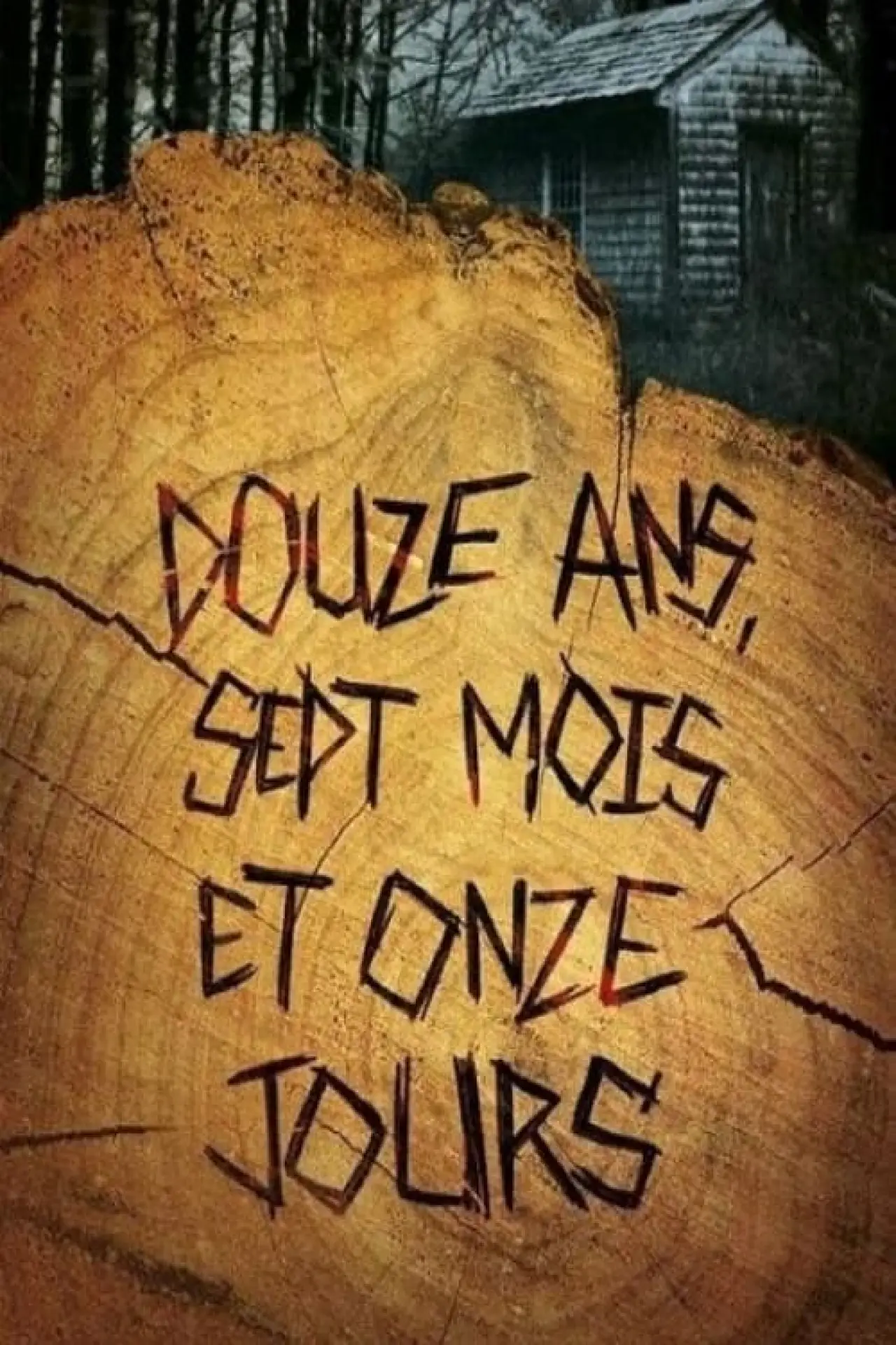 Постер к фильму "Douze ans, sept mois et onze jours"