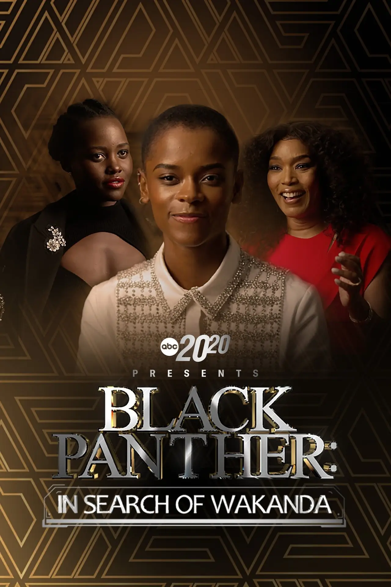 Постер к фильму "20/20 Presents Black Panther: In Search of Wakanda"
