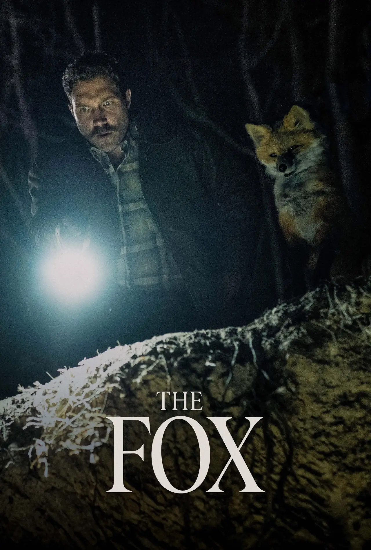 Постер к фильму "The Fox"