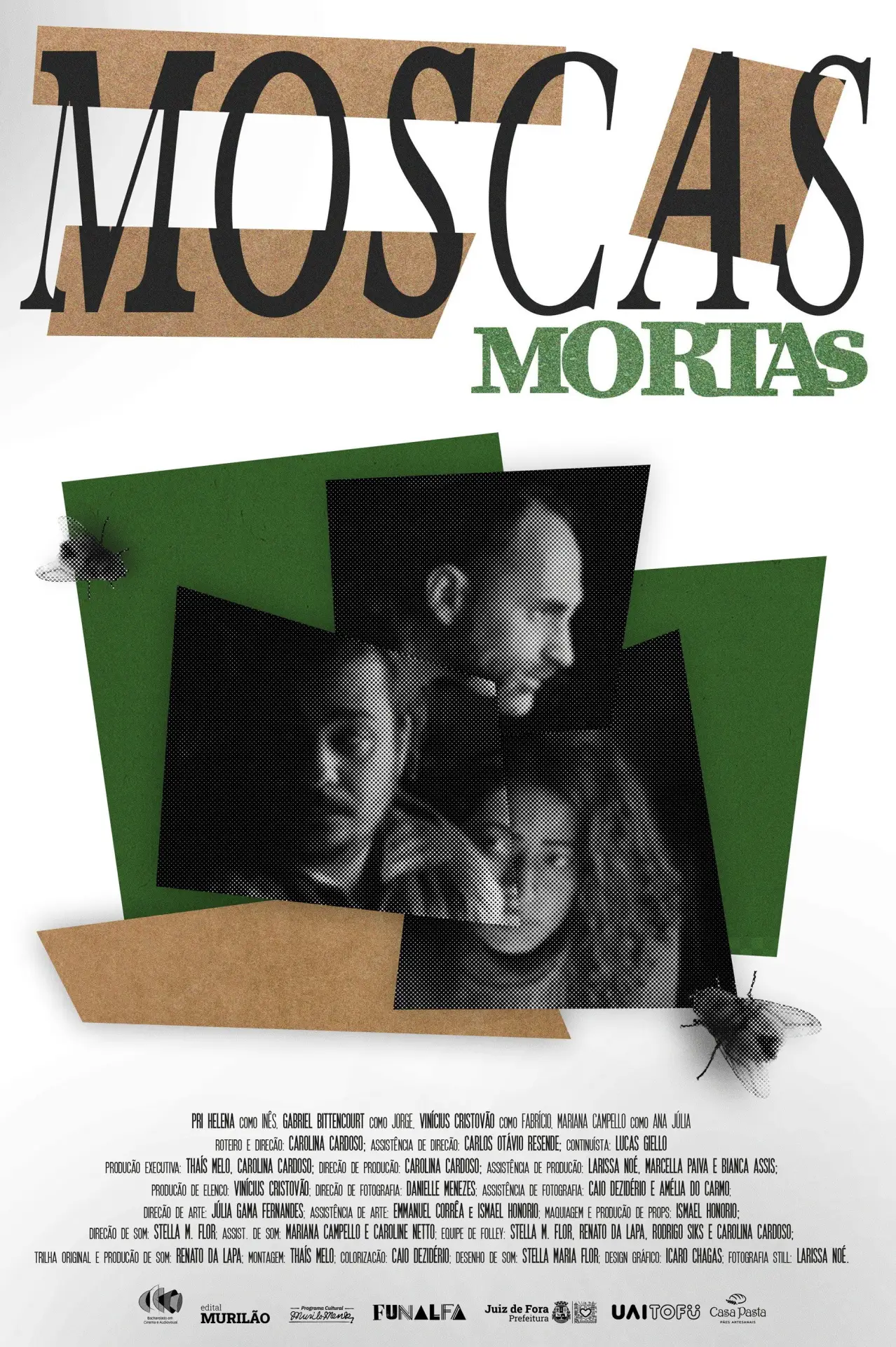 Постер к фильму "Dead Flies"