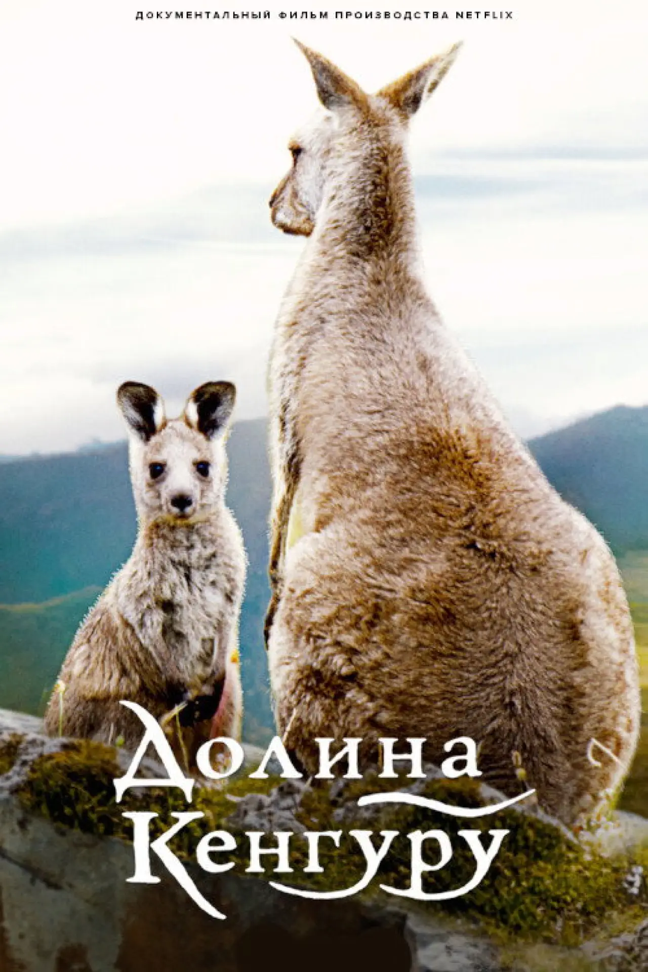 Постер к фильму "Kangaroo Valley"