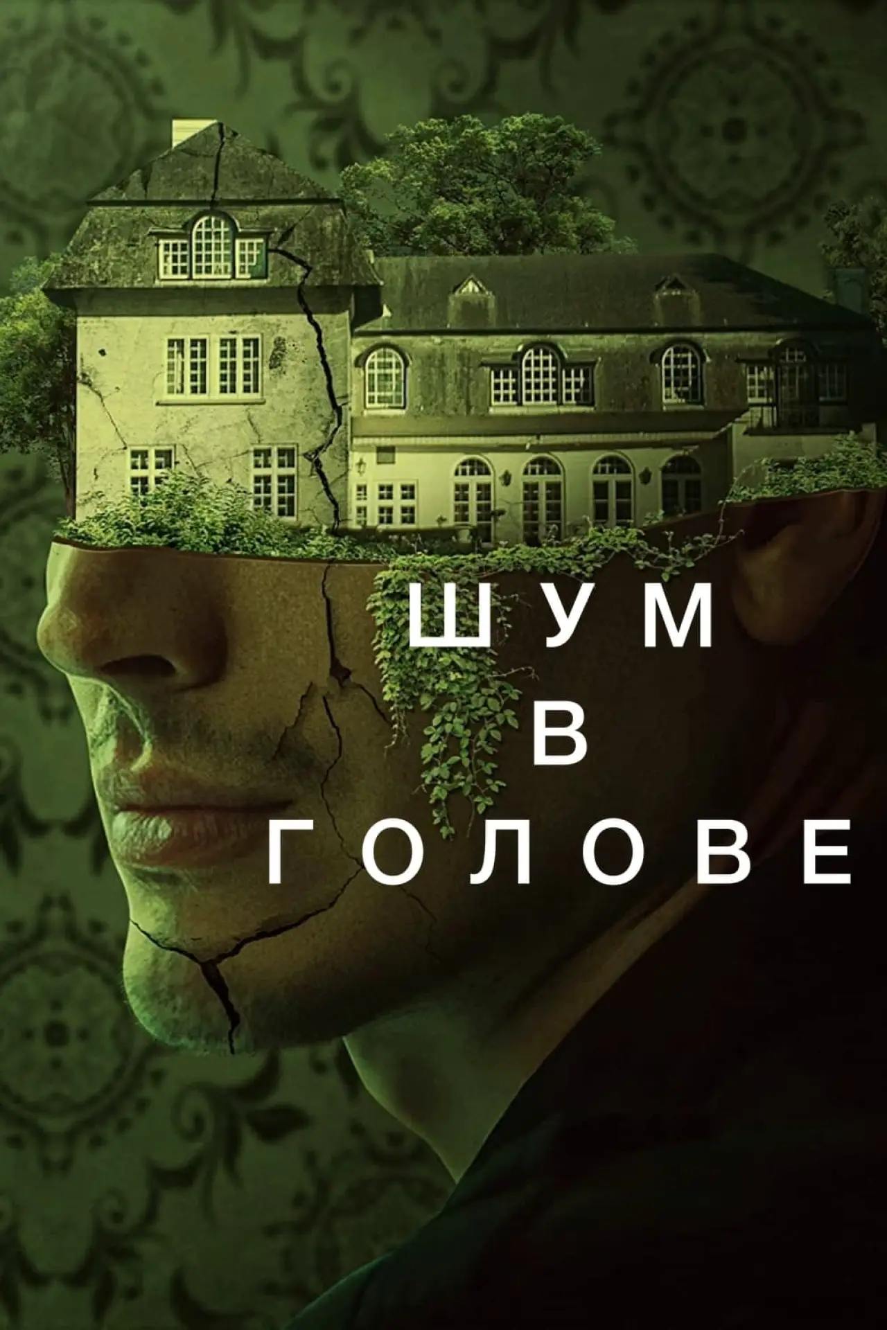 Постер к фильму "Шум в голове"