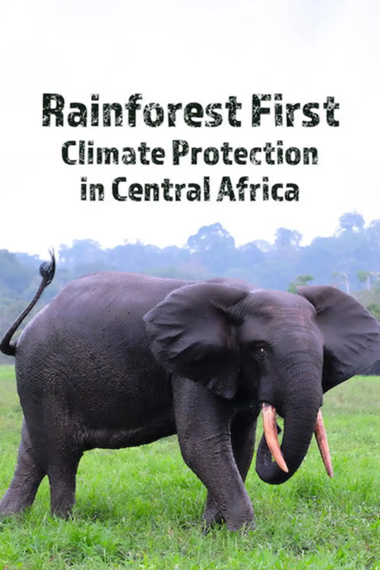 Постер к фильму "Rainforest First: Climate Protection in Central Africa"