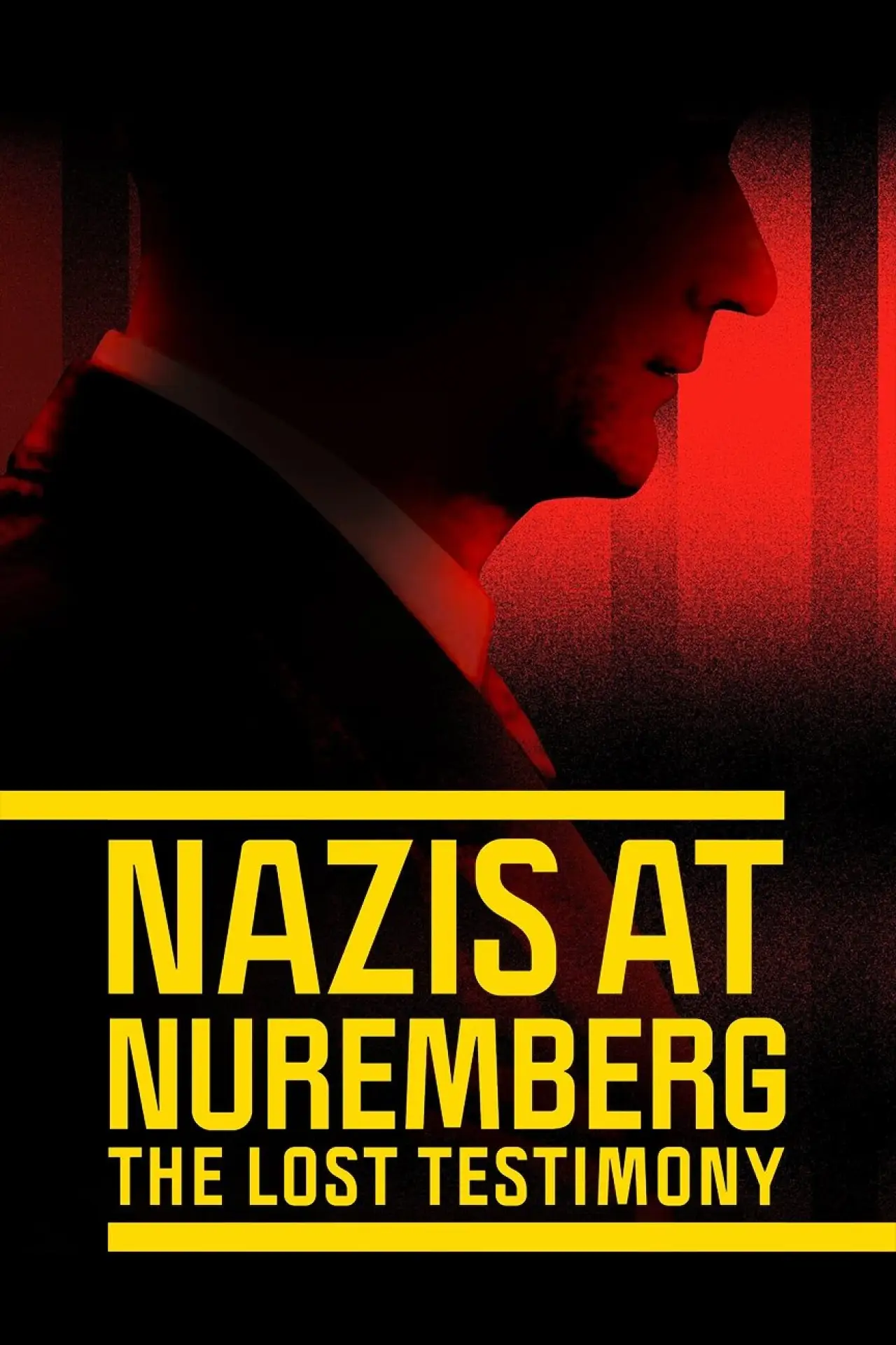 Постер к фильму "Nazis at Nuremberg: The Lost Testimony"