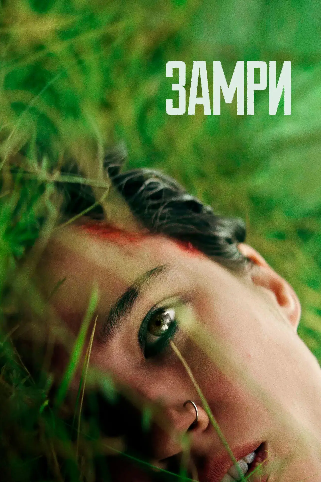 Постер к фильму "Замри"