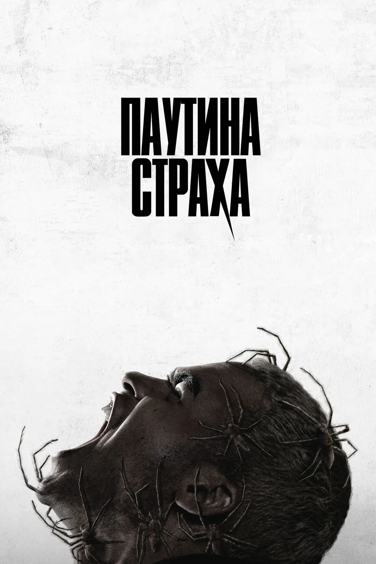Постер к фильму "Паутина страха"