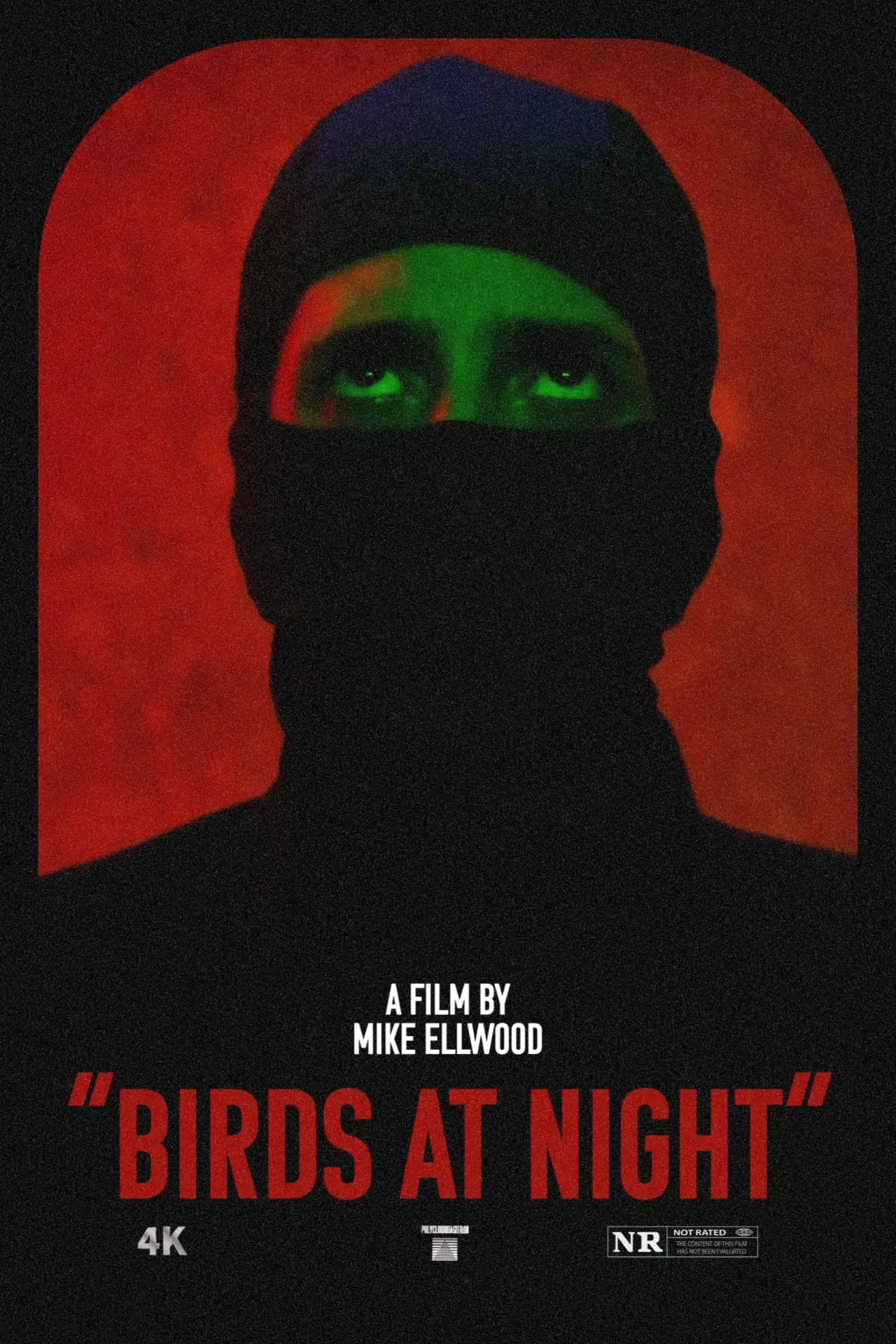 Постер к фильму "Birds at Night"