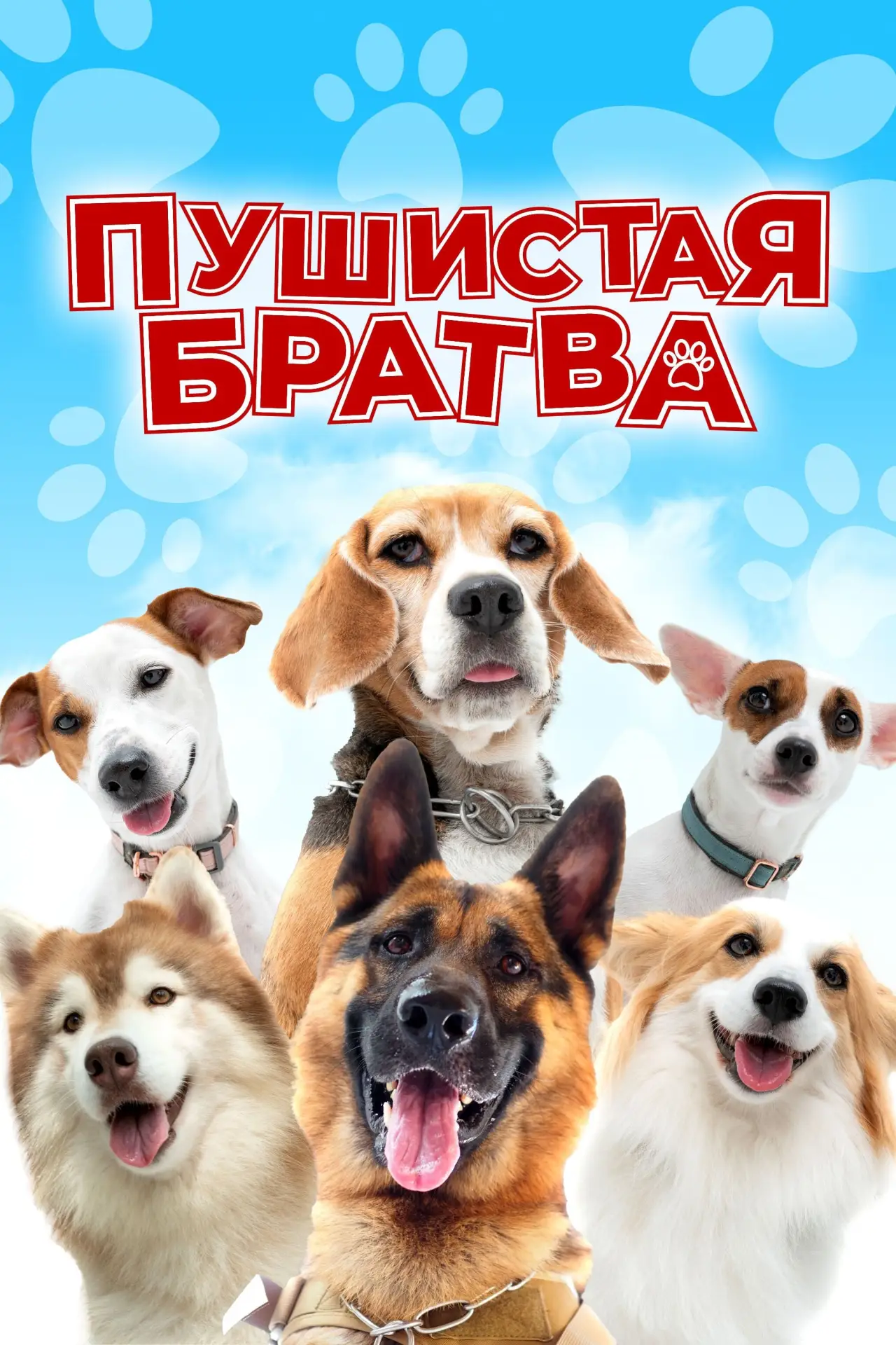 Постер к фильму "Пушистая братва"