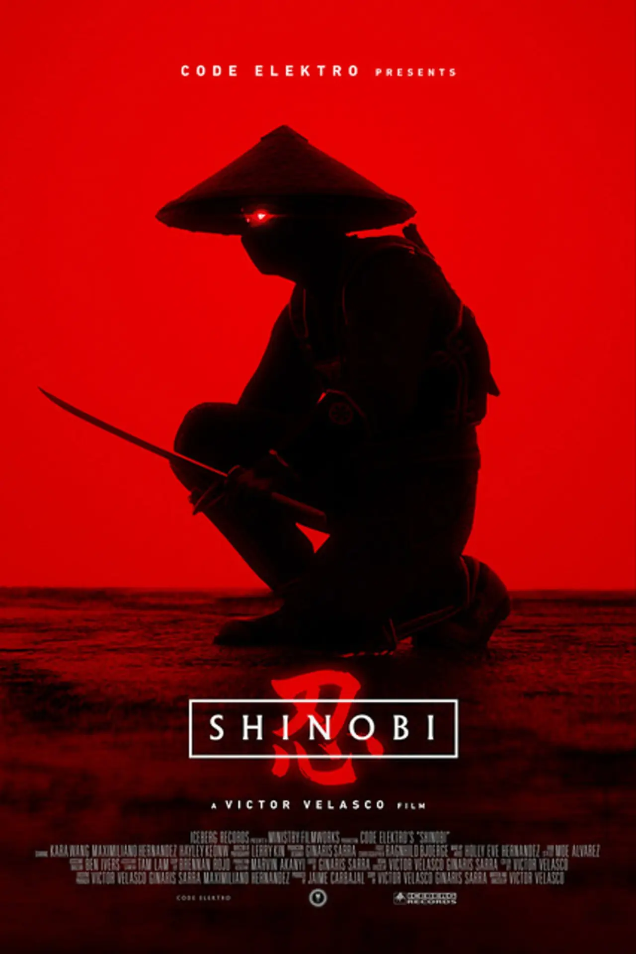 Постер к фильму "Shinobi"