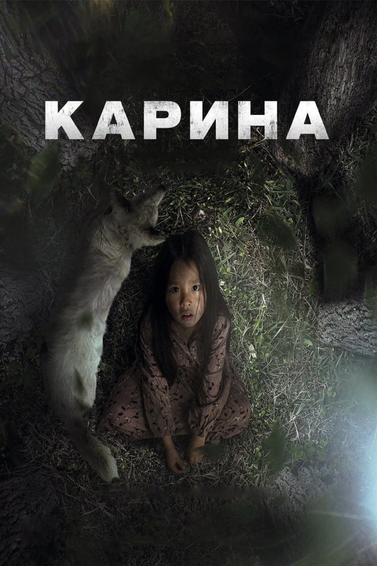 Постер к фильму "Карина"