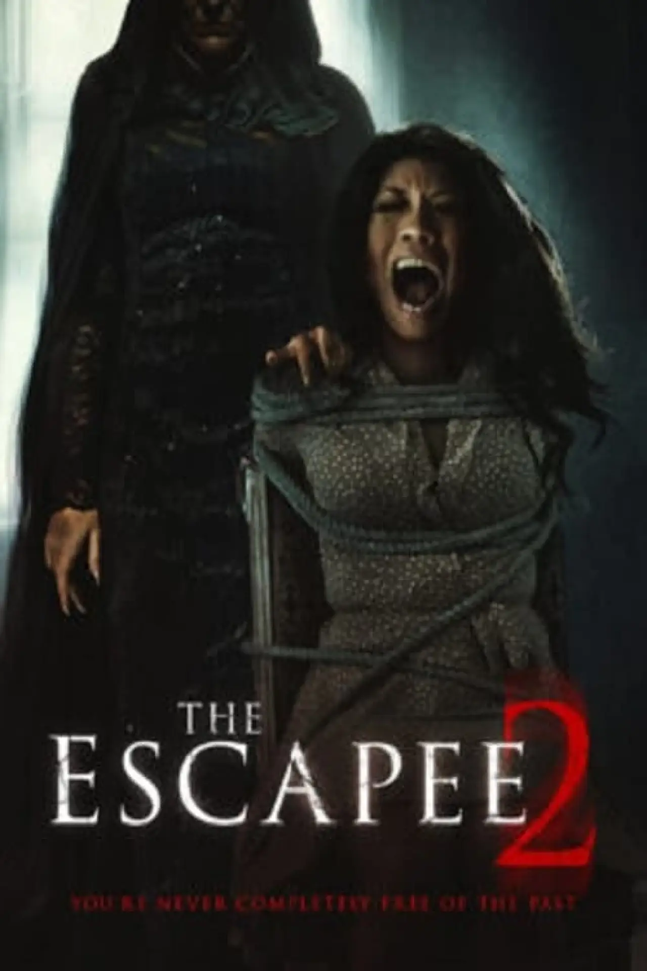 Постер к фильму "The Escapee 2: The Woman in Black"