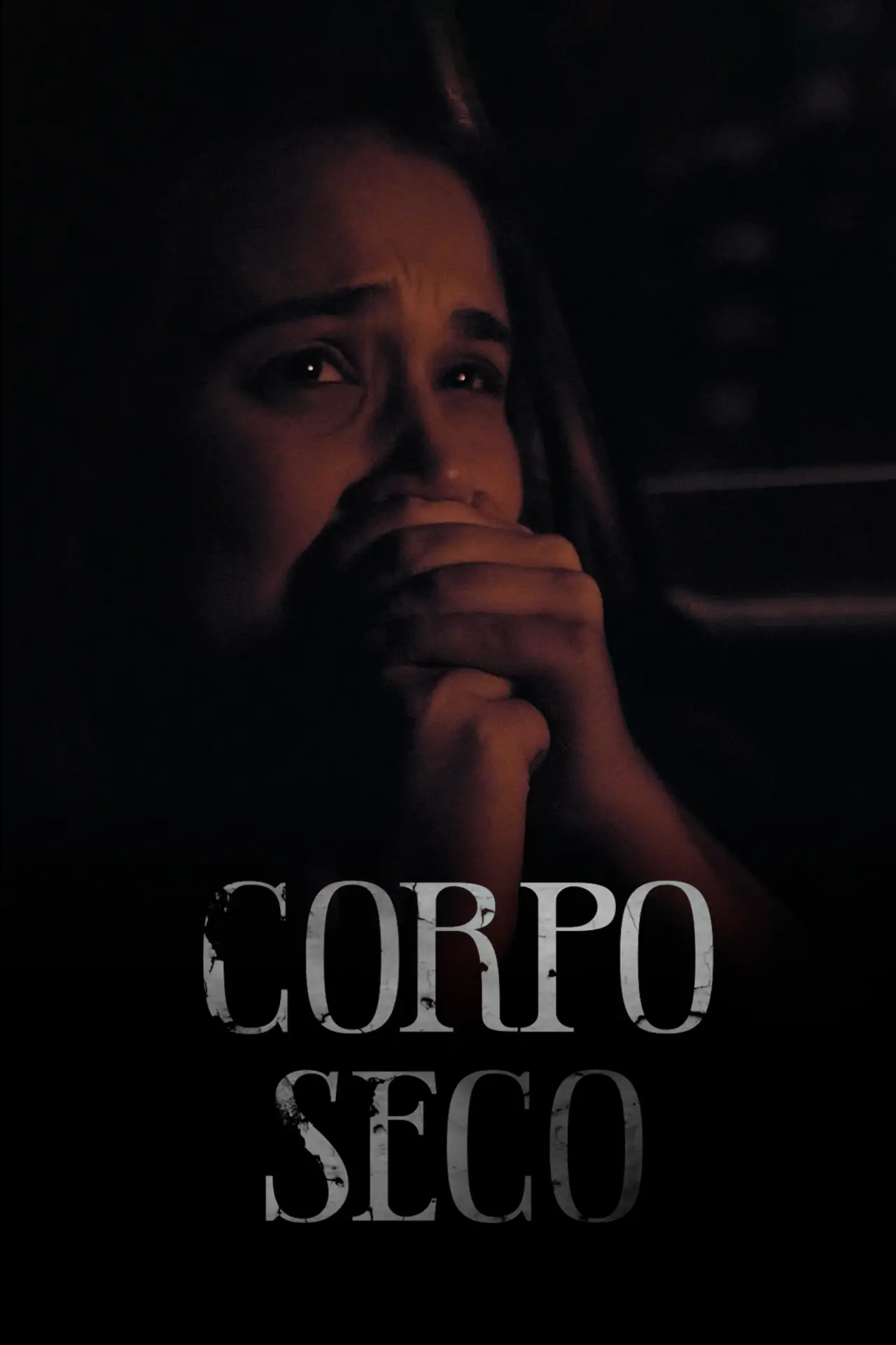 Постер к фильму "Corpo Seco"