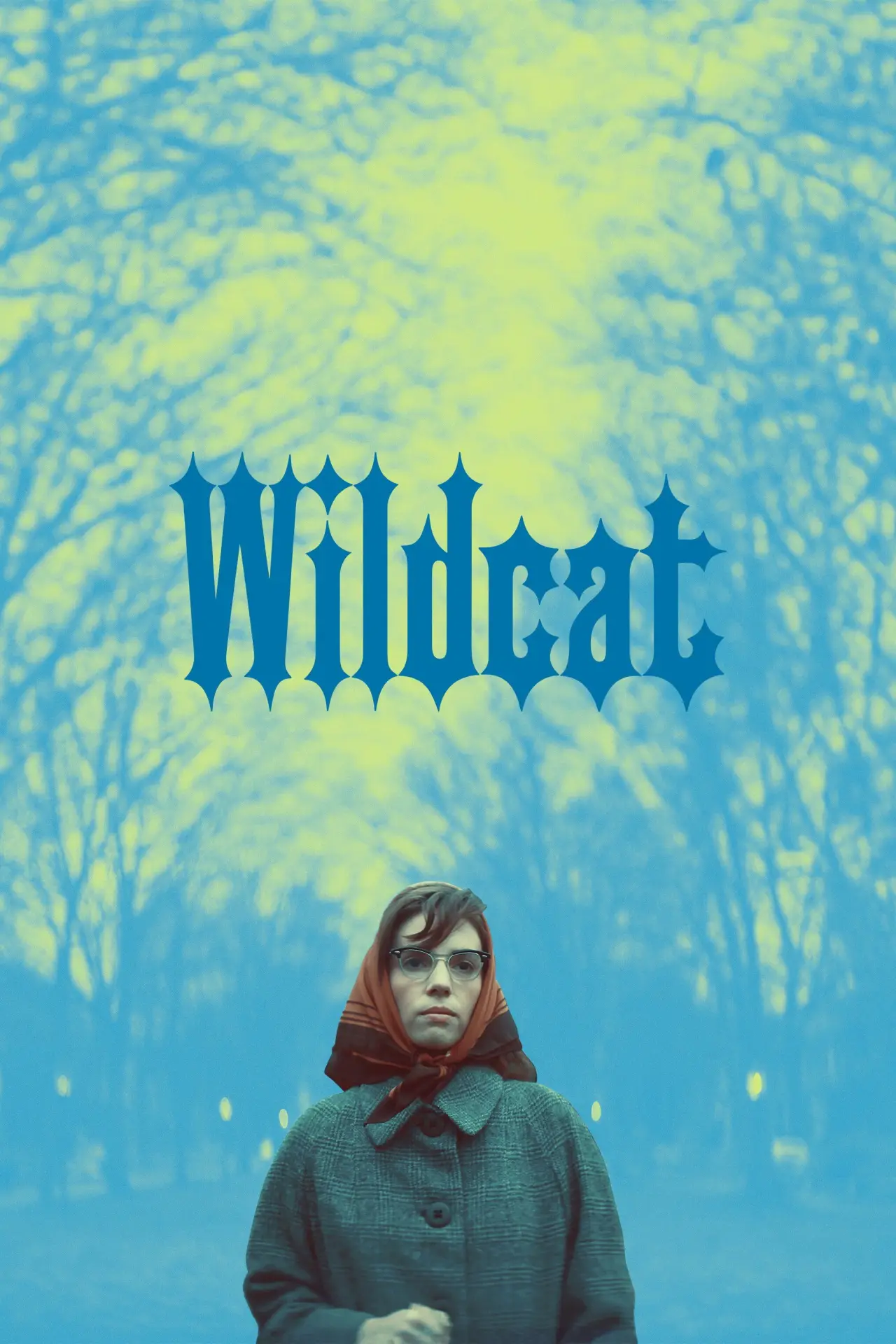 Постер к фильму "Wildcat"