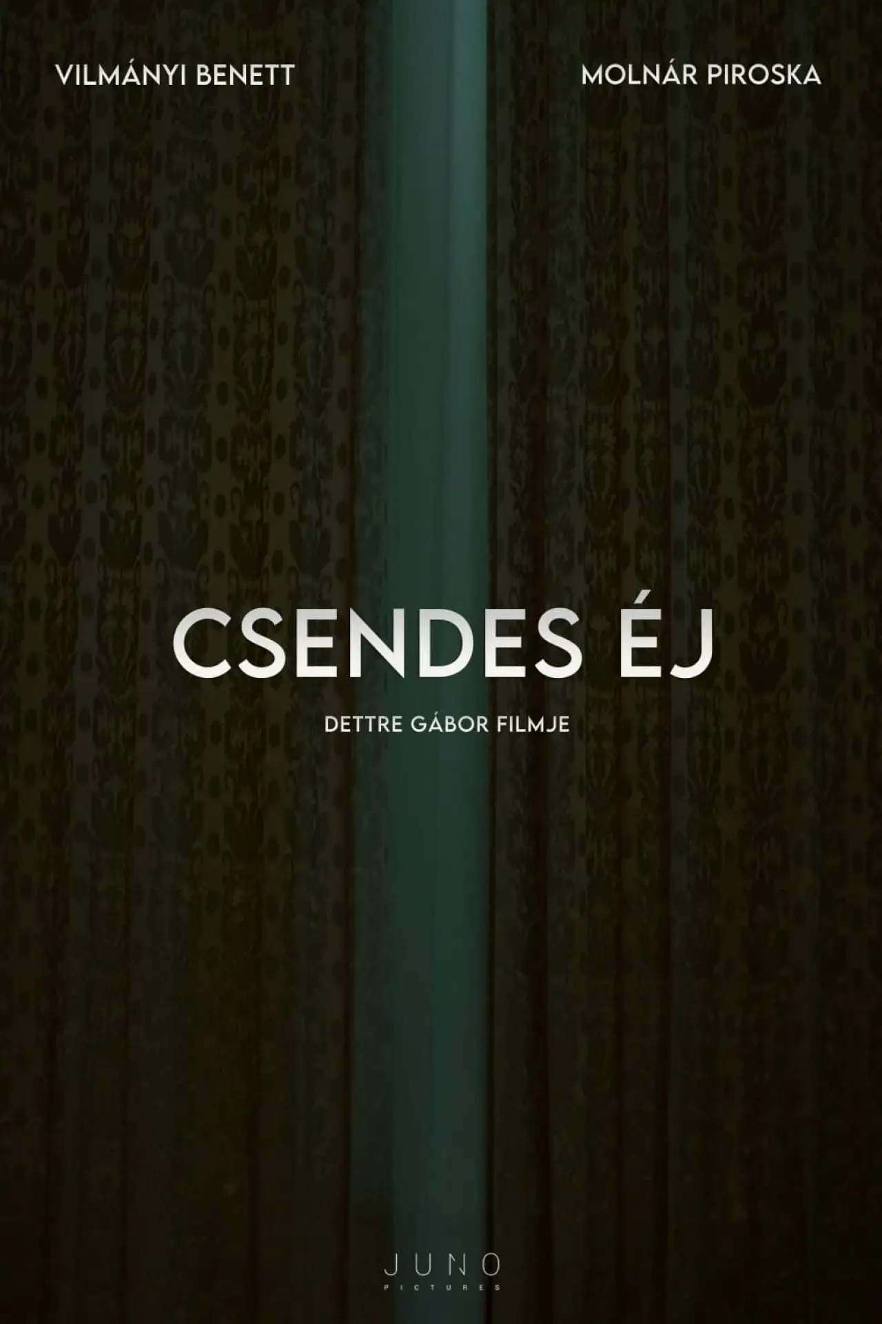 Постер к фильму "Csendes éj"