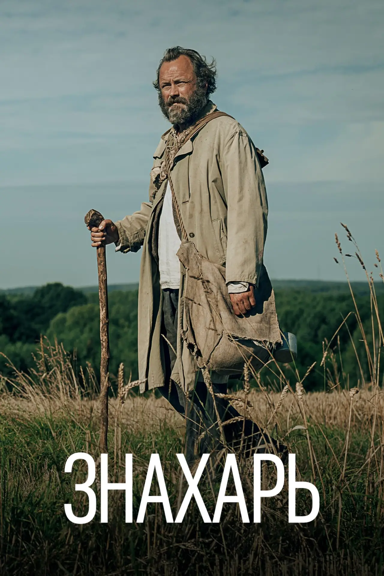 Постер к фильму "Знахарь"