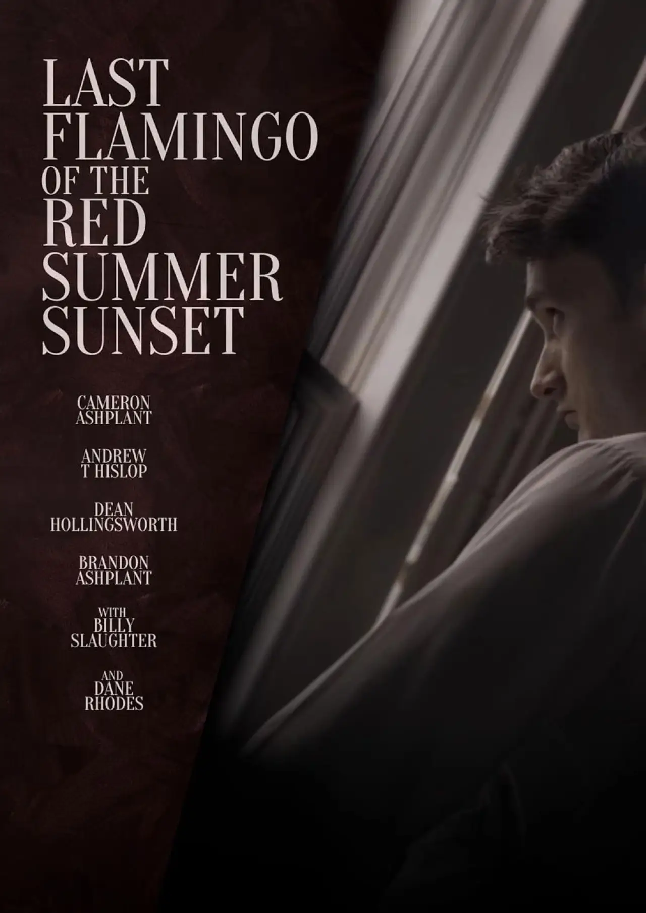 Постер к фильму "Last Flamingo of the Red Summer Sunset"