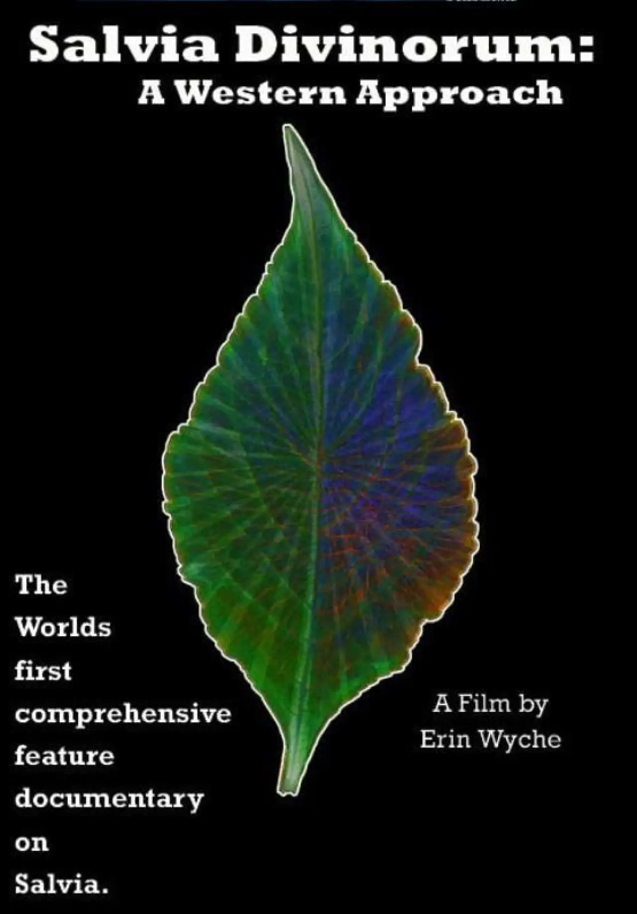 Постер к фильму "Salvia Divinorum: A Western Approach"