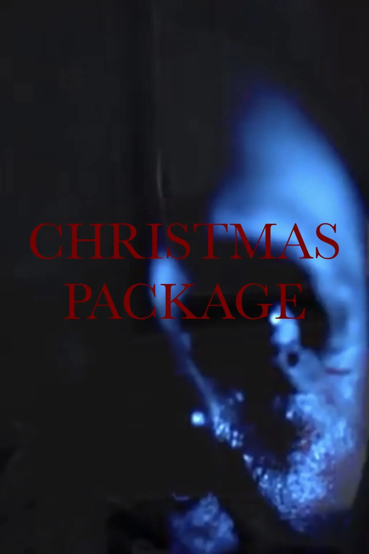 Постер к фильму "Christmas Package"