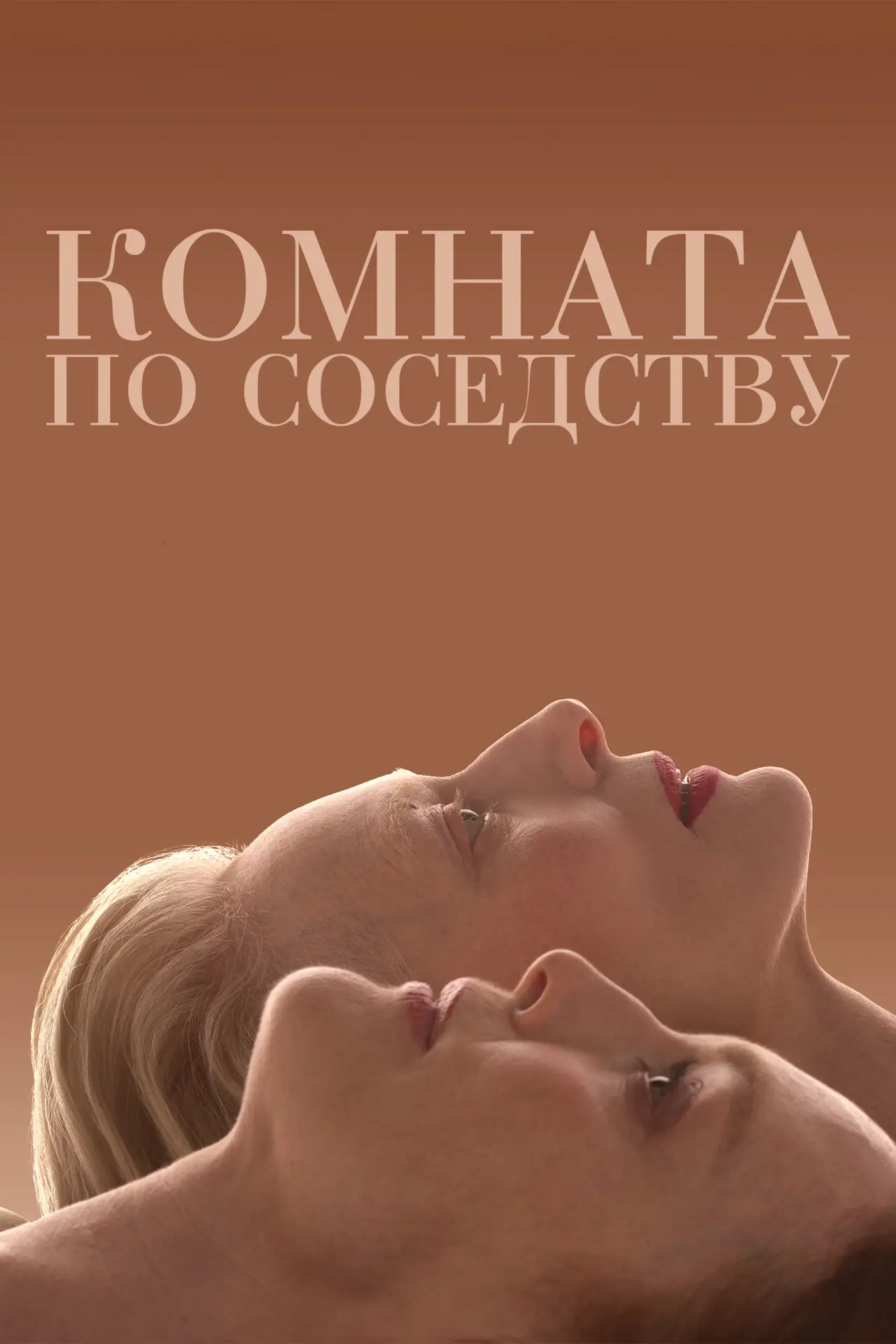 Постер к фильму "Комната по соседству"