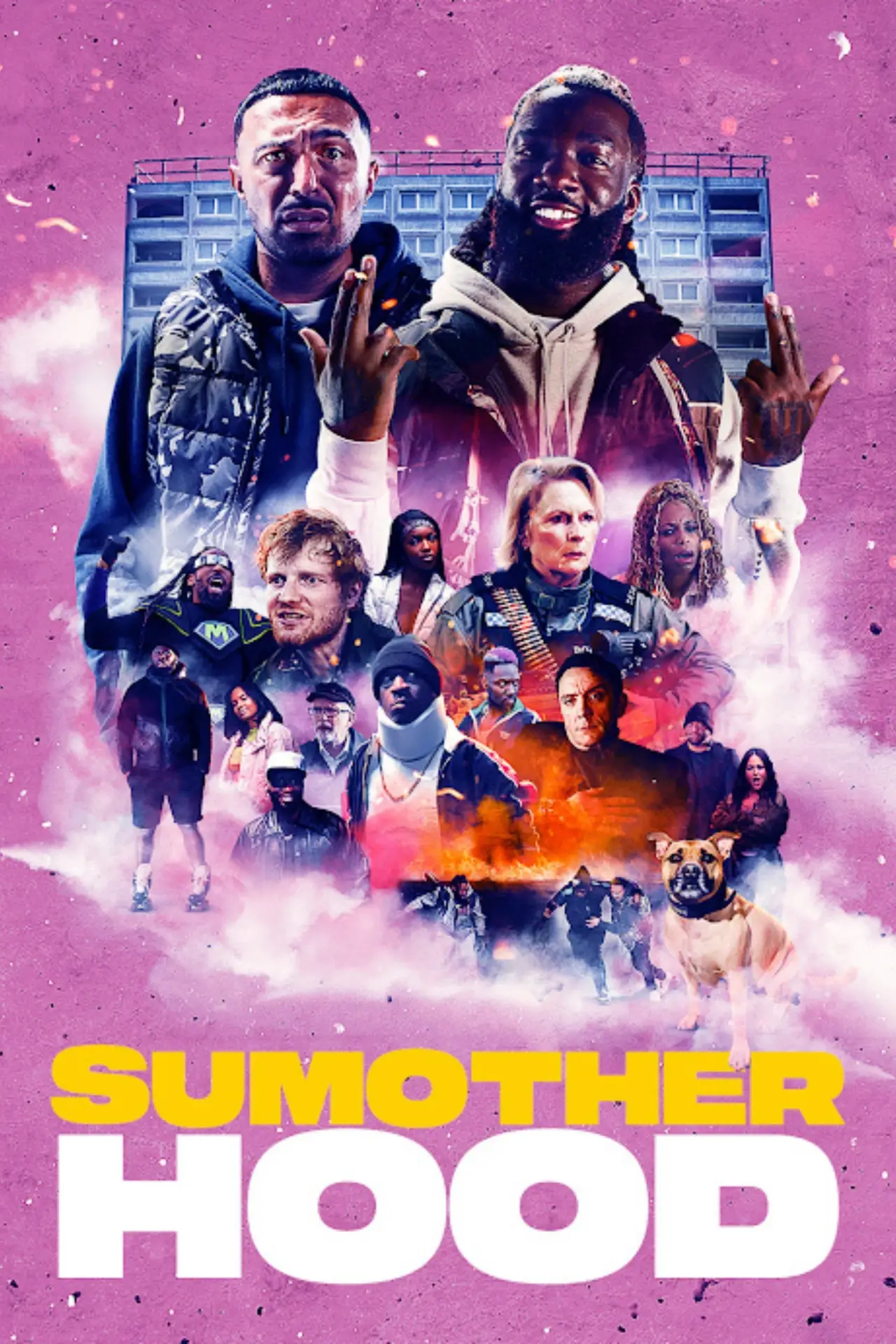 Постер к фильму "Sumotherhood"