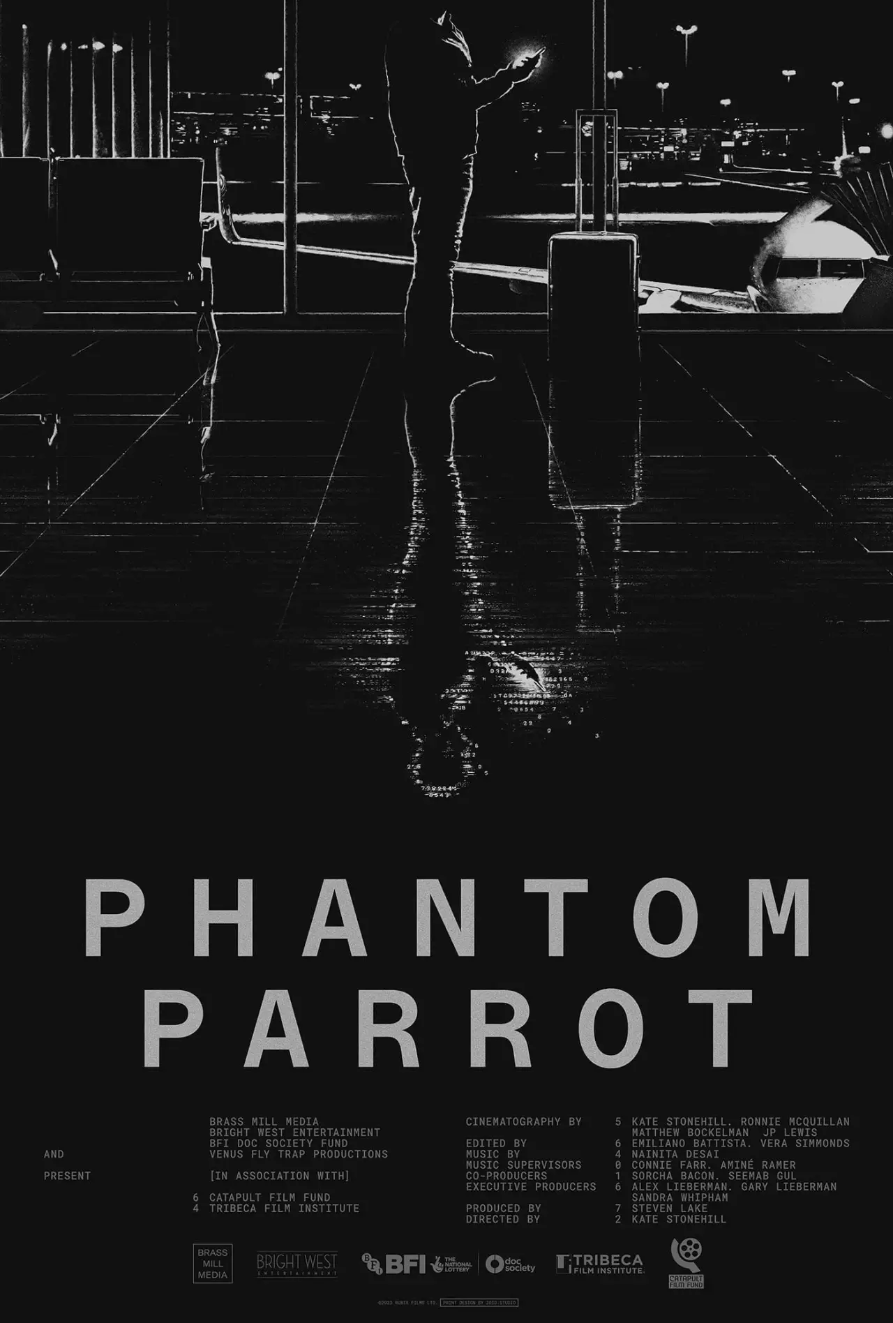 Постер к фильму "Phantom Parrot"