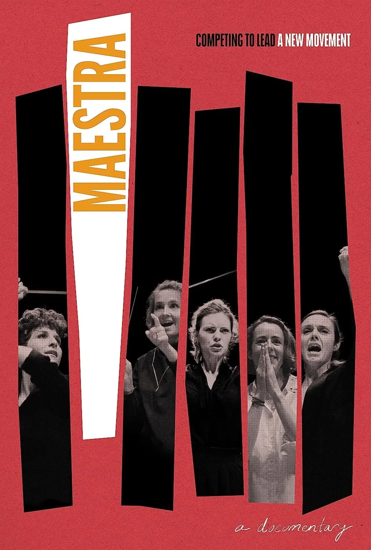 Постер к фильму "Maestra"