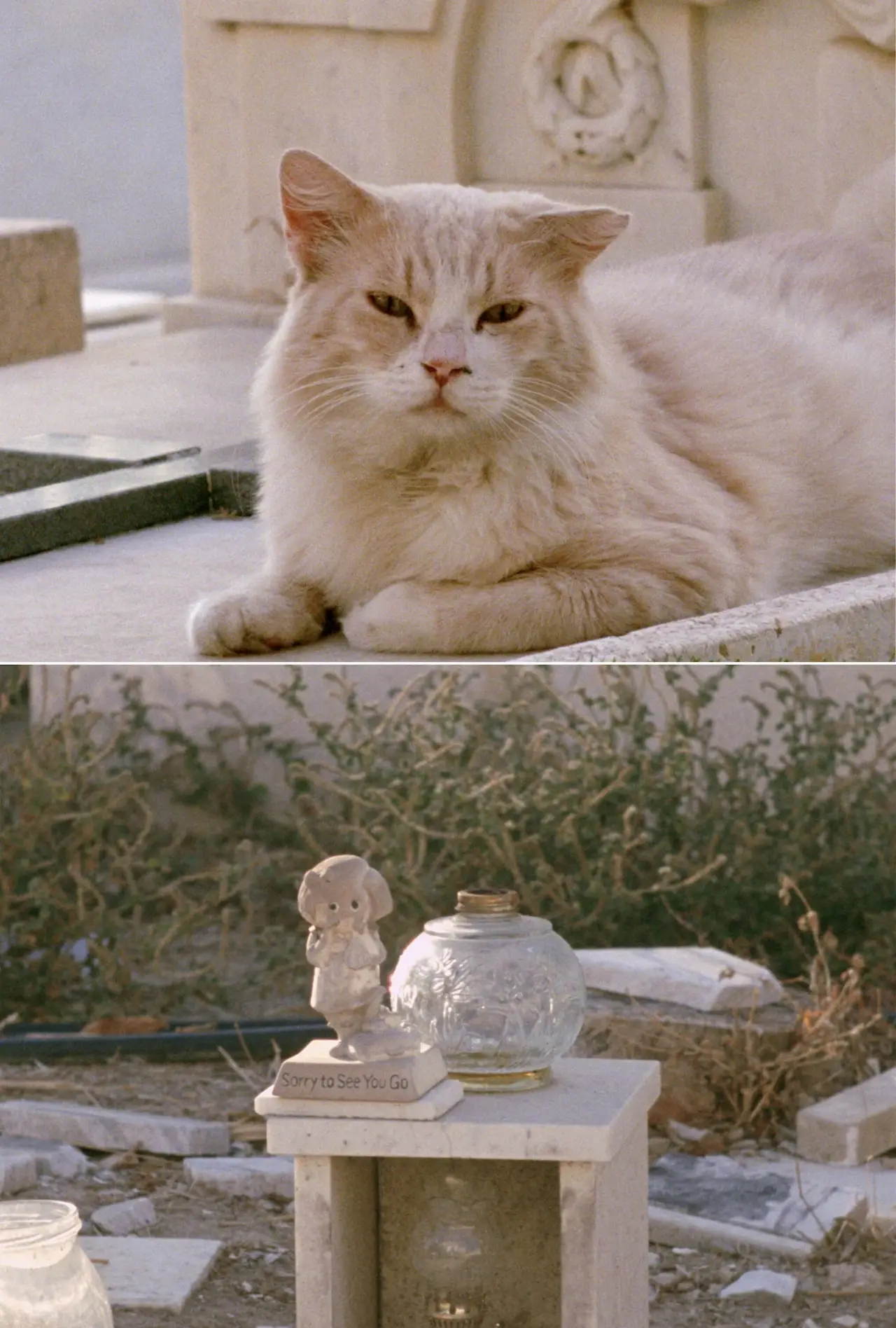 Постер к фильму "Sorry to See You Go"