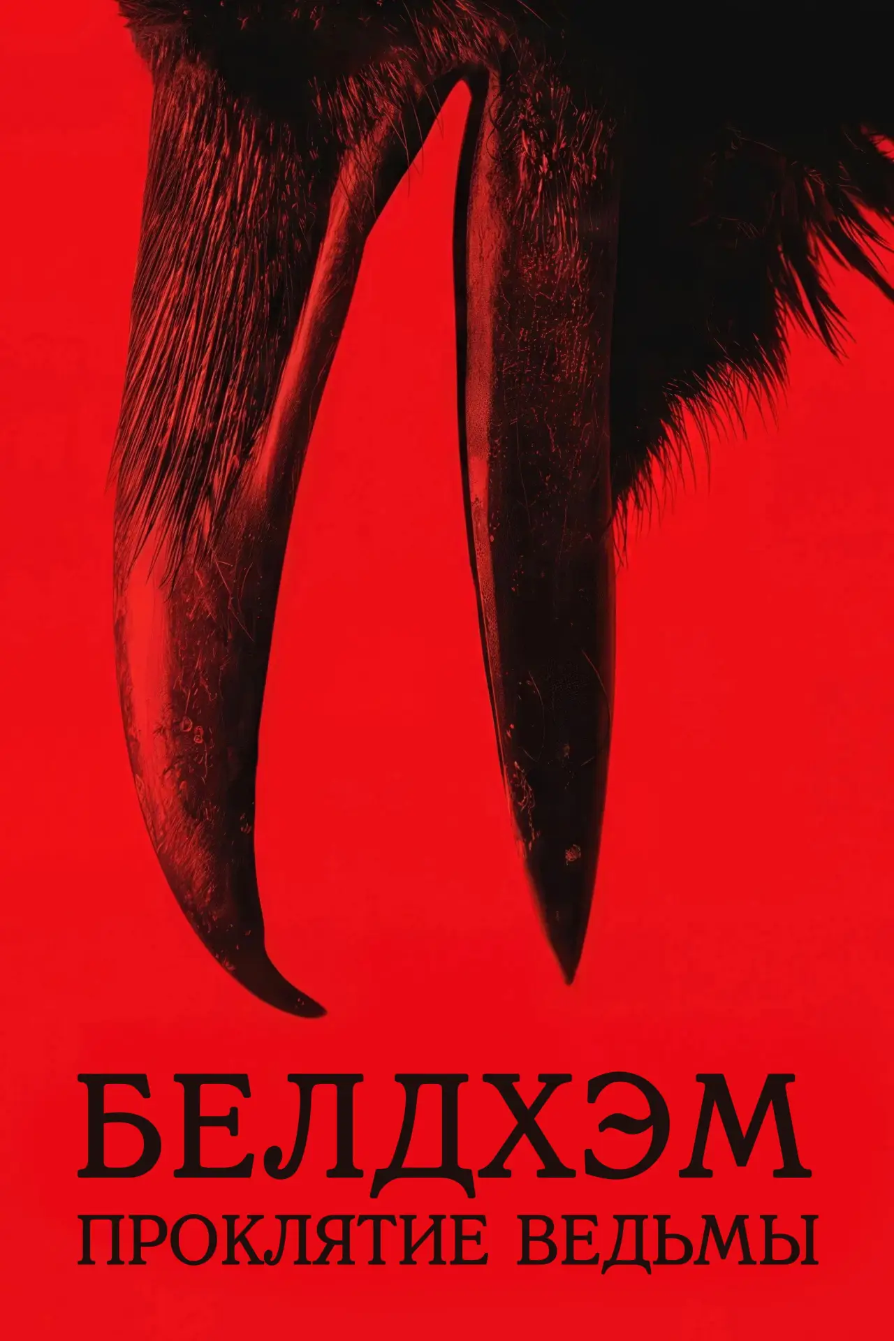 Постер к фильму "Белдхэм. Проклятие ведьмы"