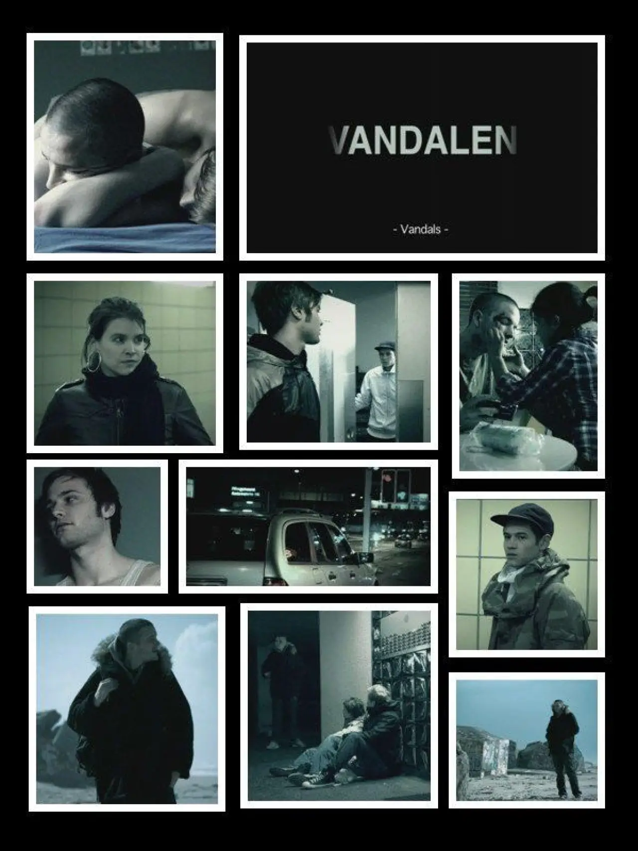 Постер к фильму "Vandalen"