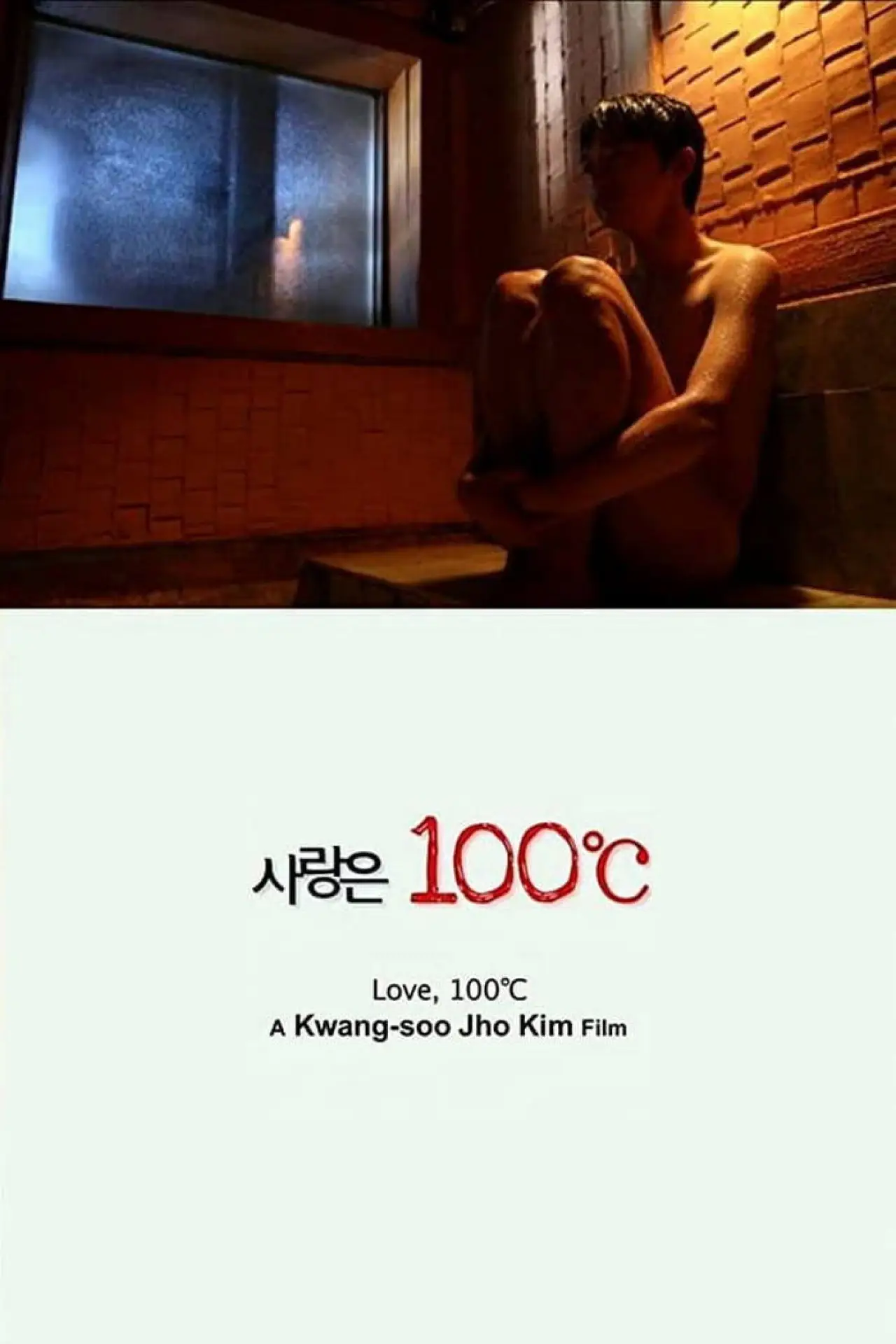 Постер к фильму "사랑은 100℃"