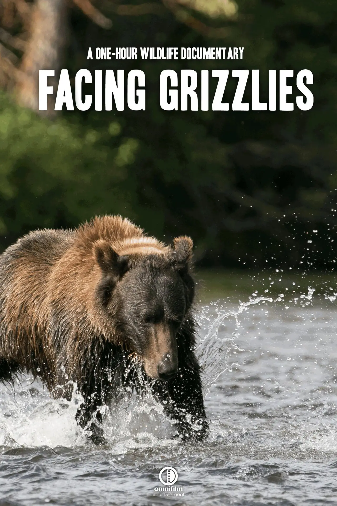 Постер к фильму "Facing Grizzlies"