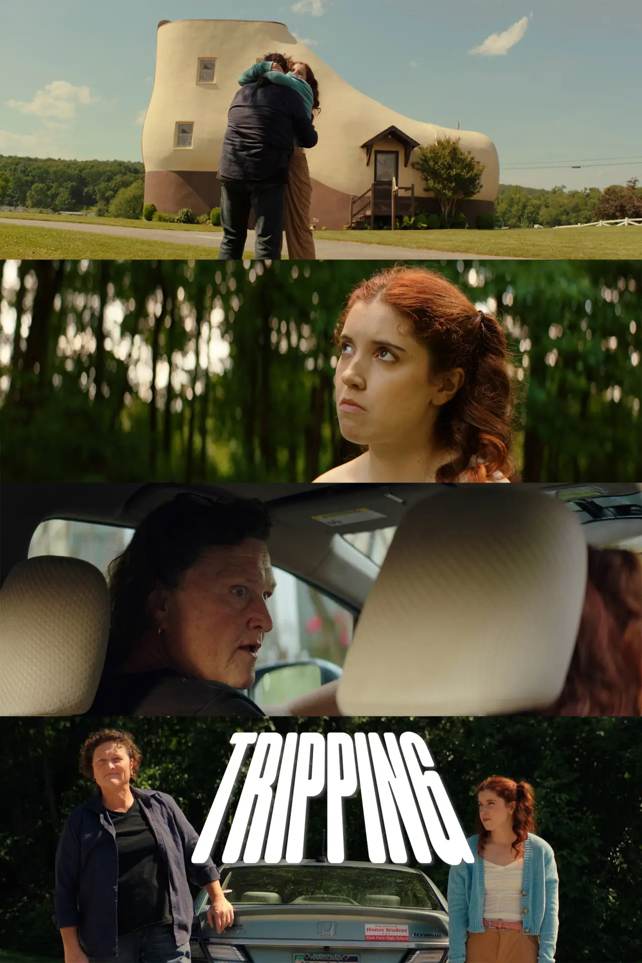 Постер к фильму "Tripping"