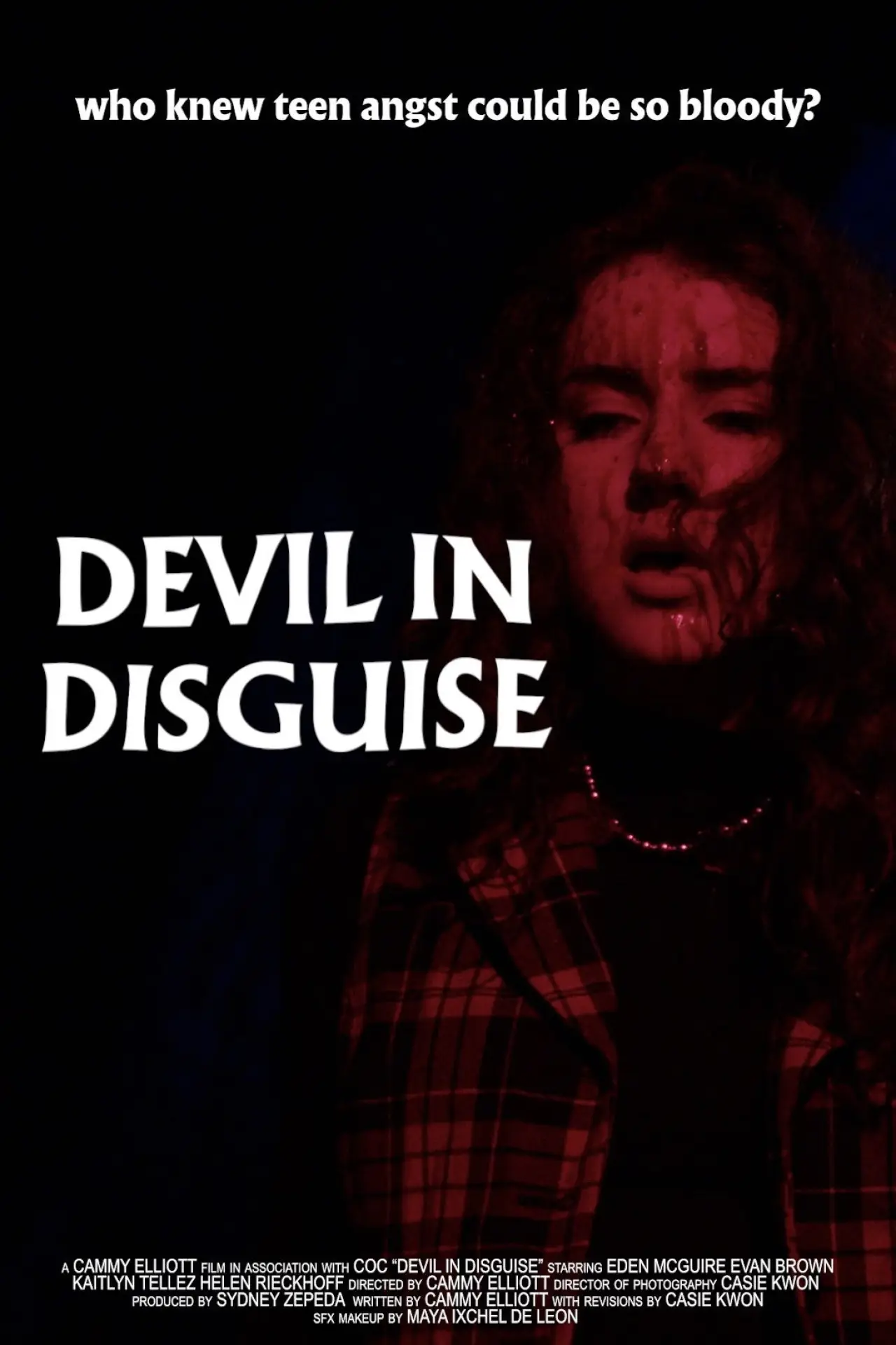Постер к фильму "Devil in Disguise"