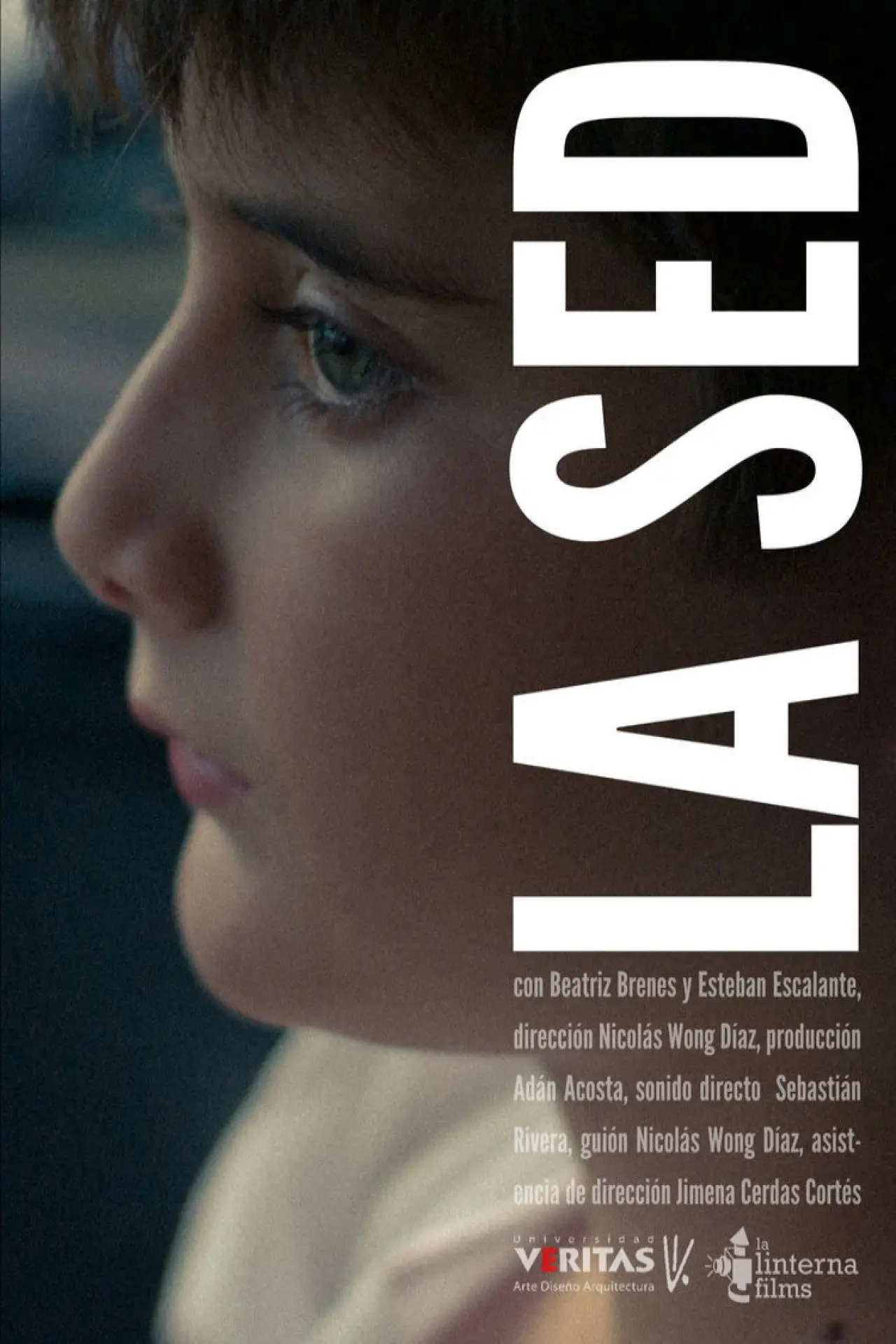 Постер к фильму "La Sed"
