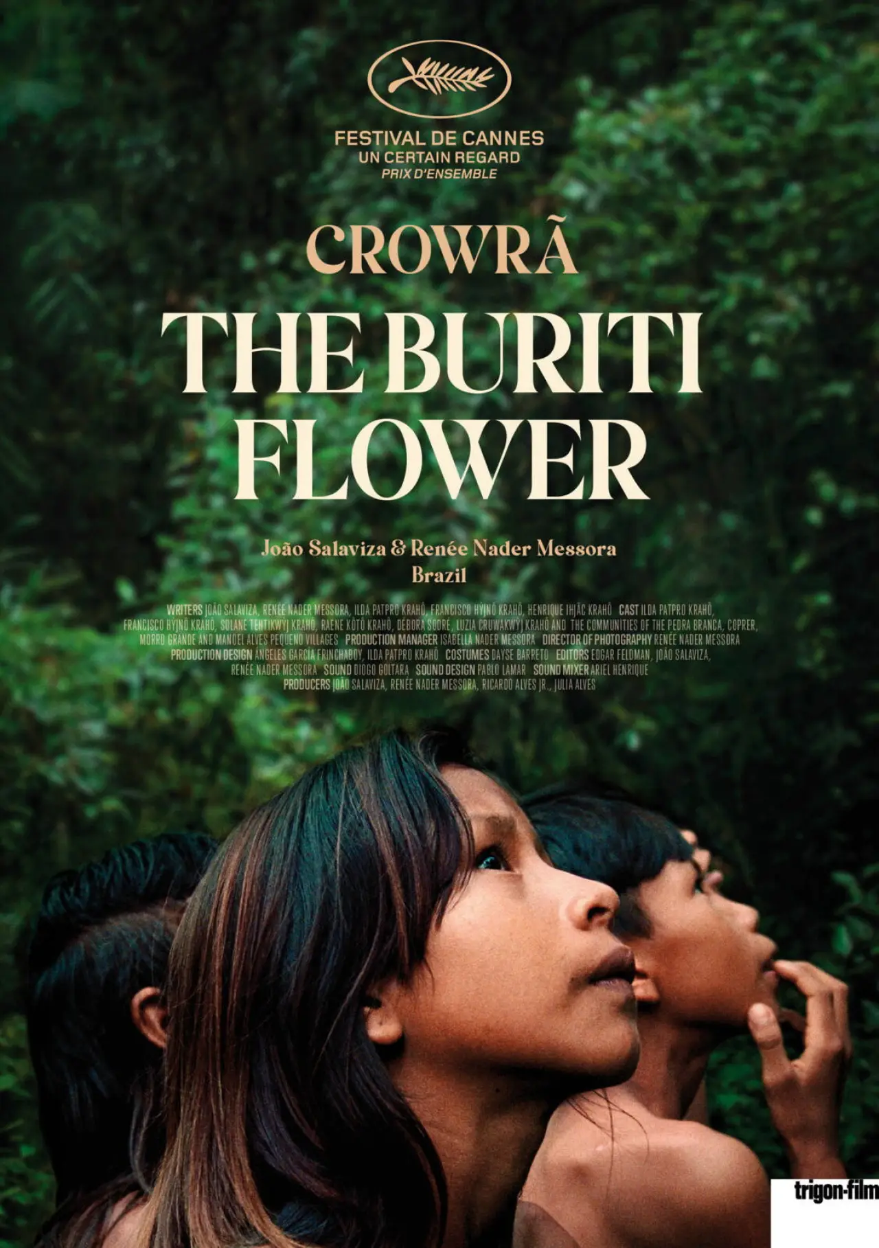 Постер к фильму "Crowrã"