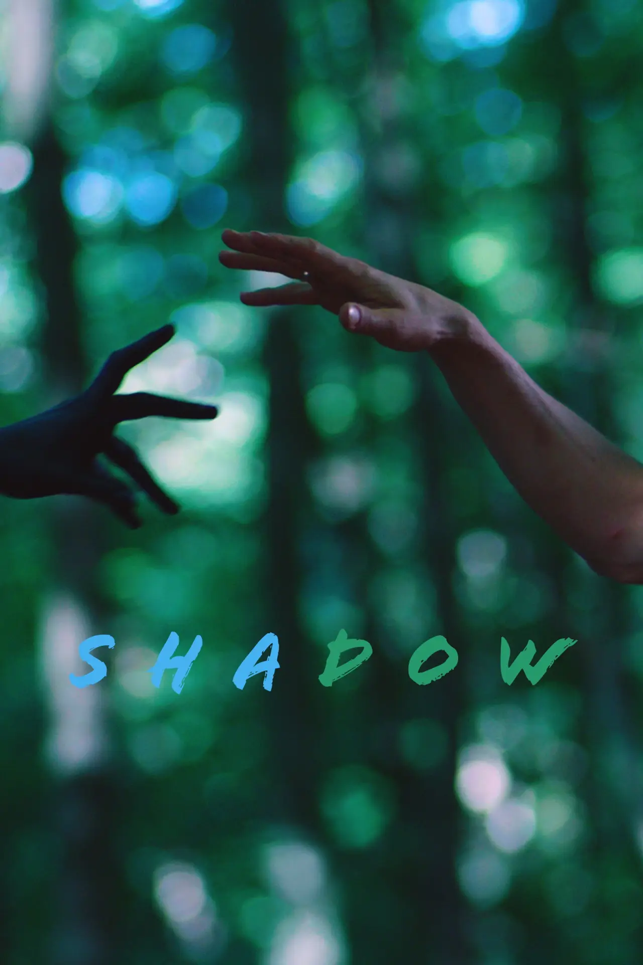 Постер к фильму "Shadow"