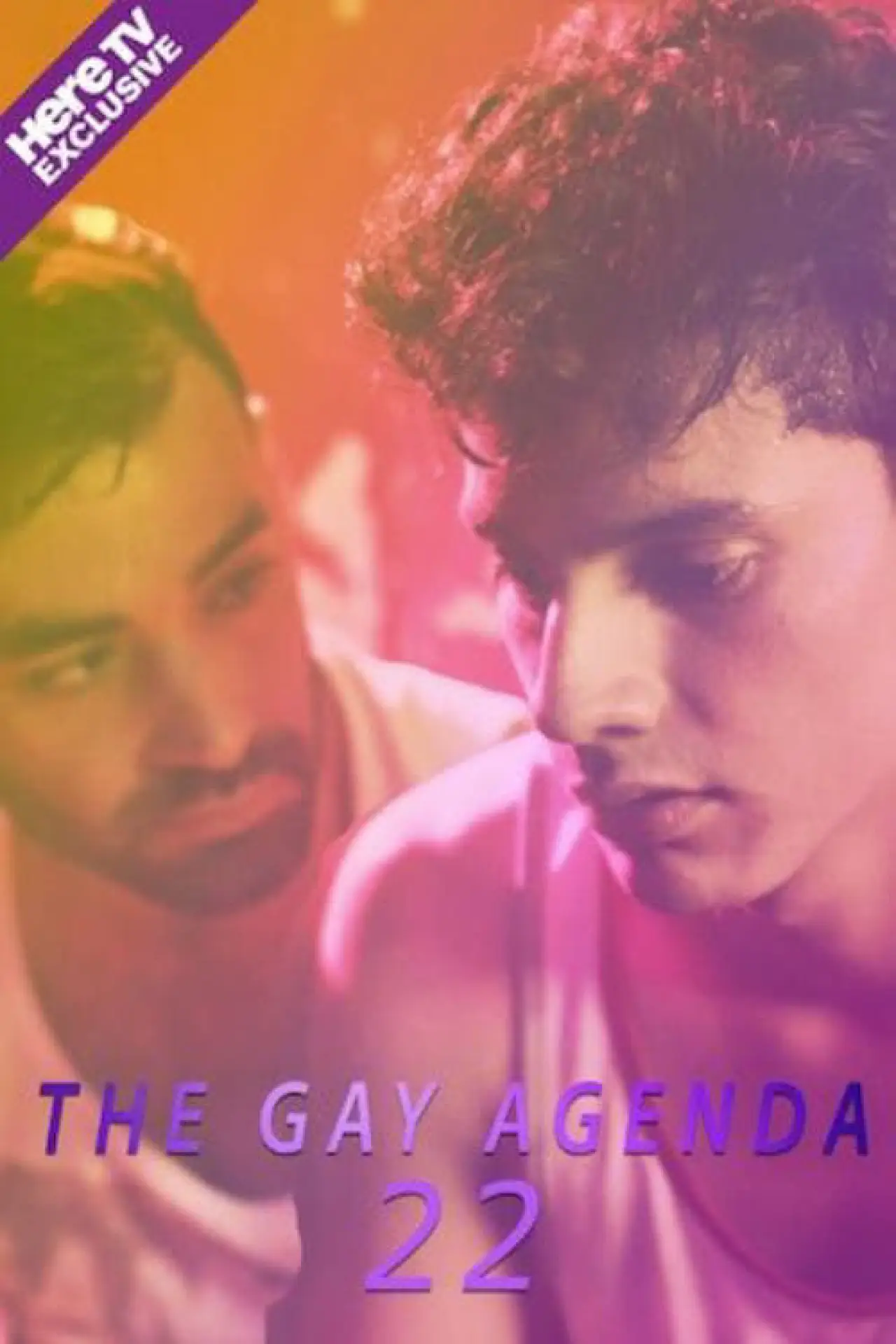 Постер к фильму "The Gay Agenda 22"
