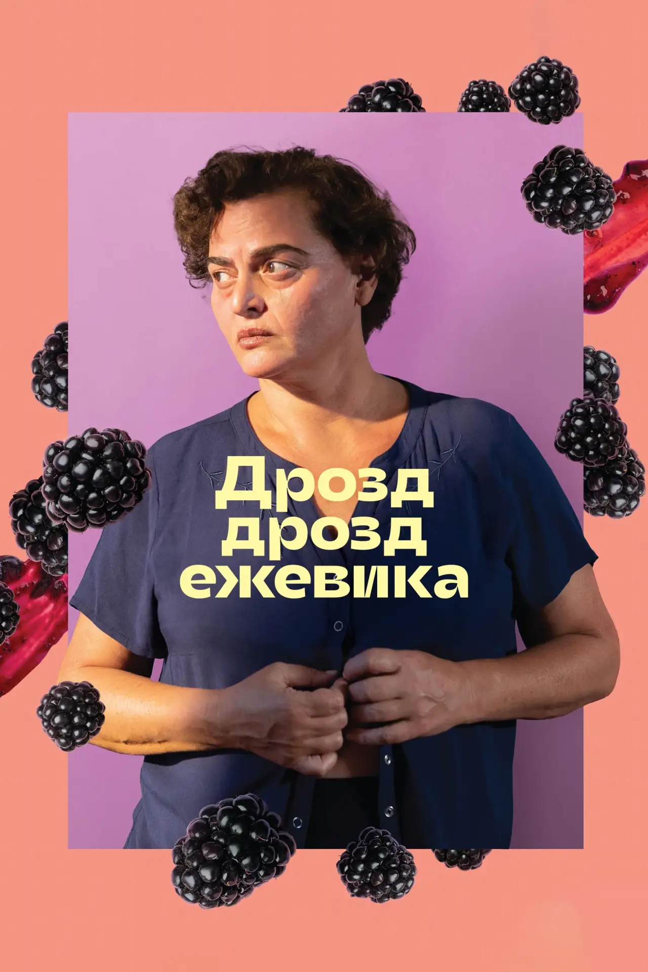 Постер к фильму "Дрозд дрозд ежевика"