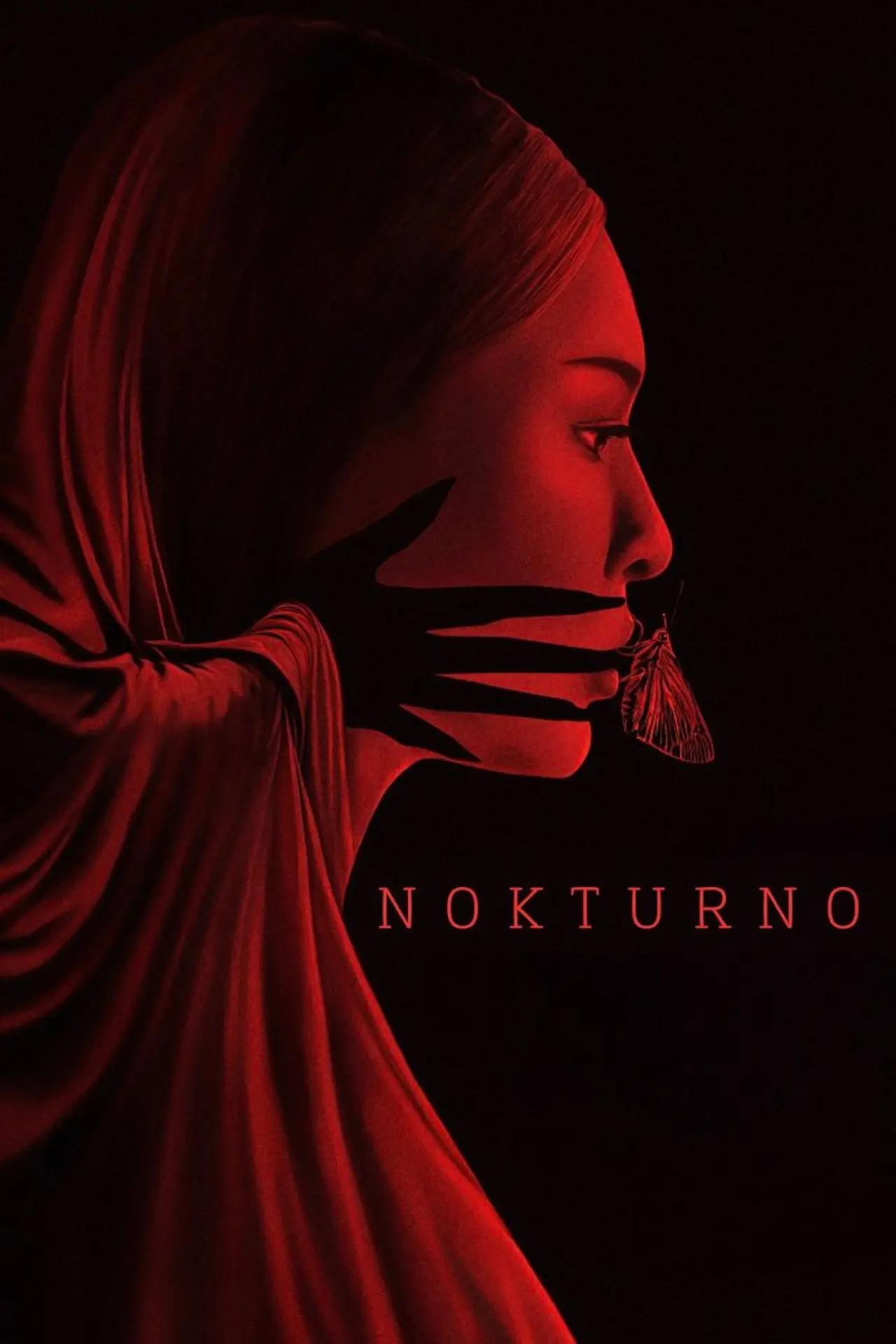 Постер к фильму "Nokturno"