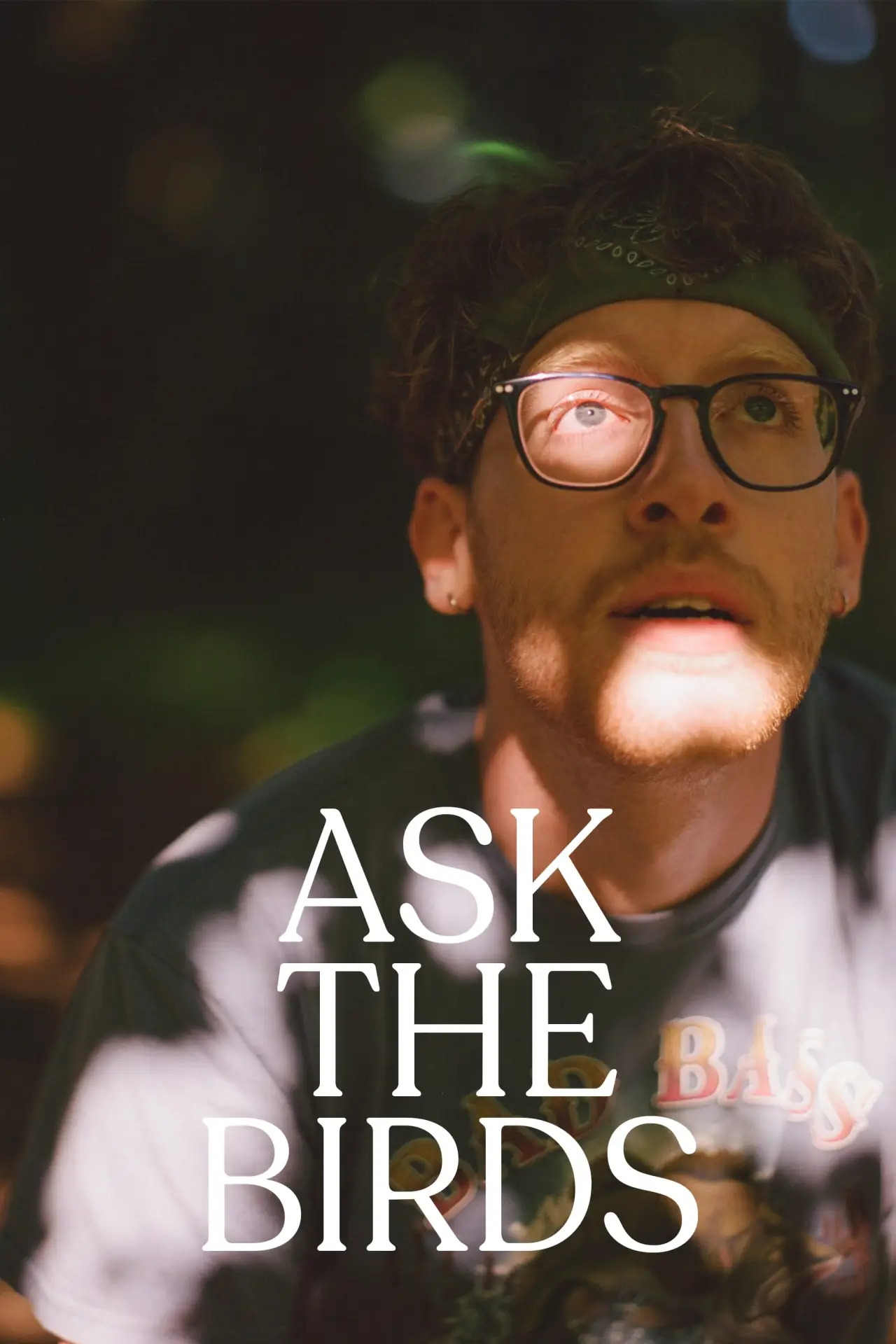 Постер к фильму "Ask The Birds"