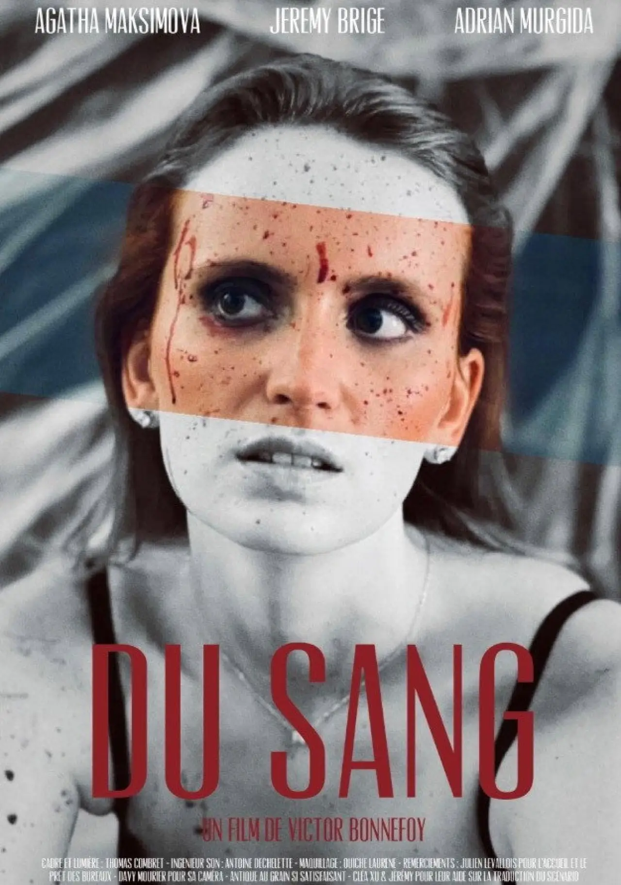 Постер к фильму "Du sang"
